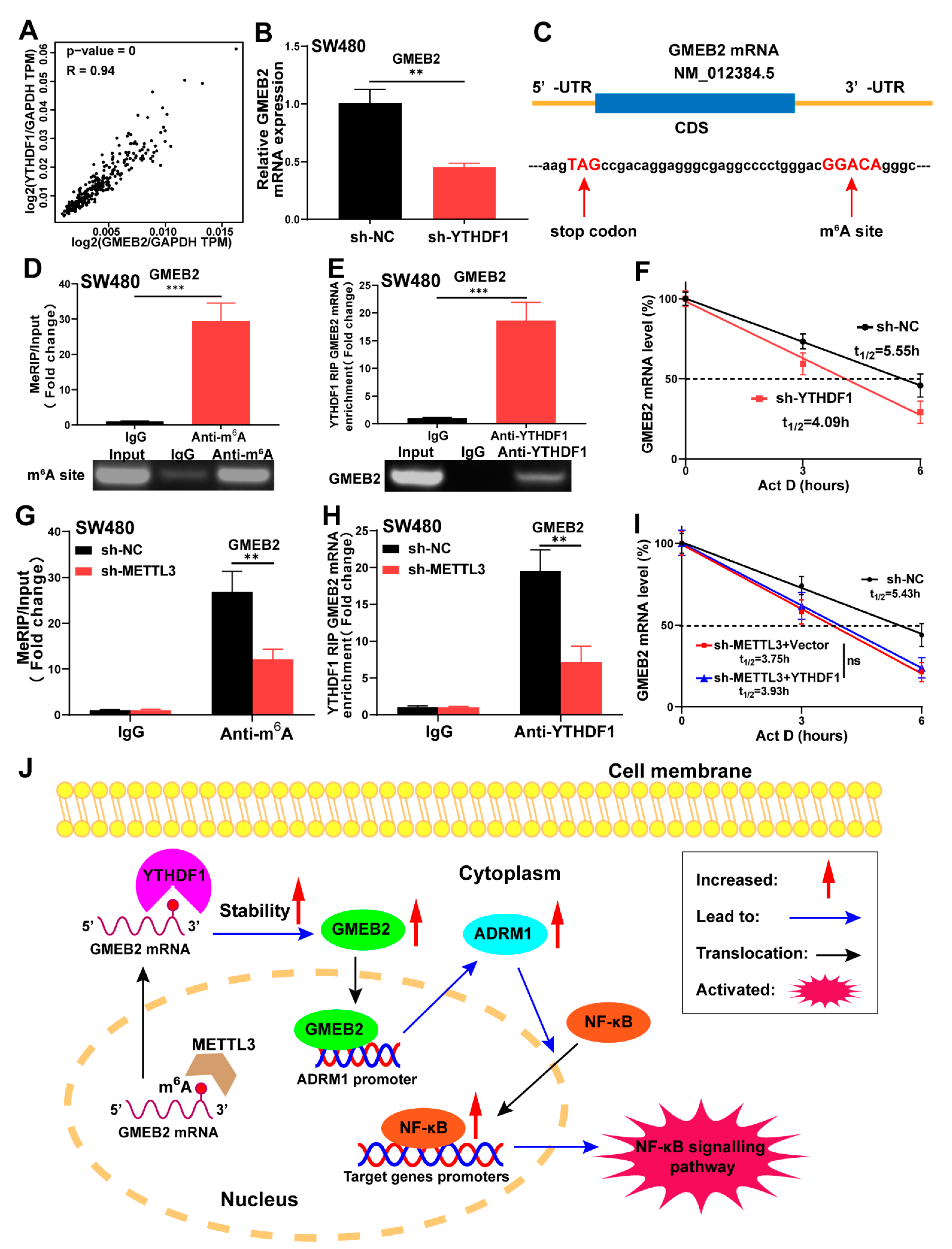 Cancers 14 06046 g006
