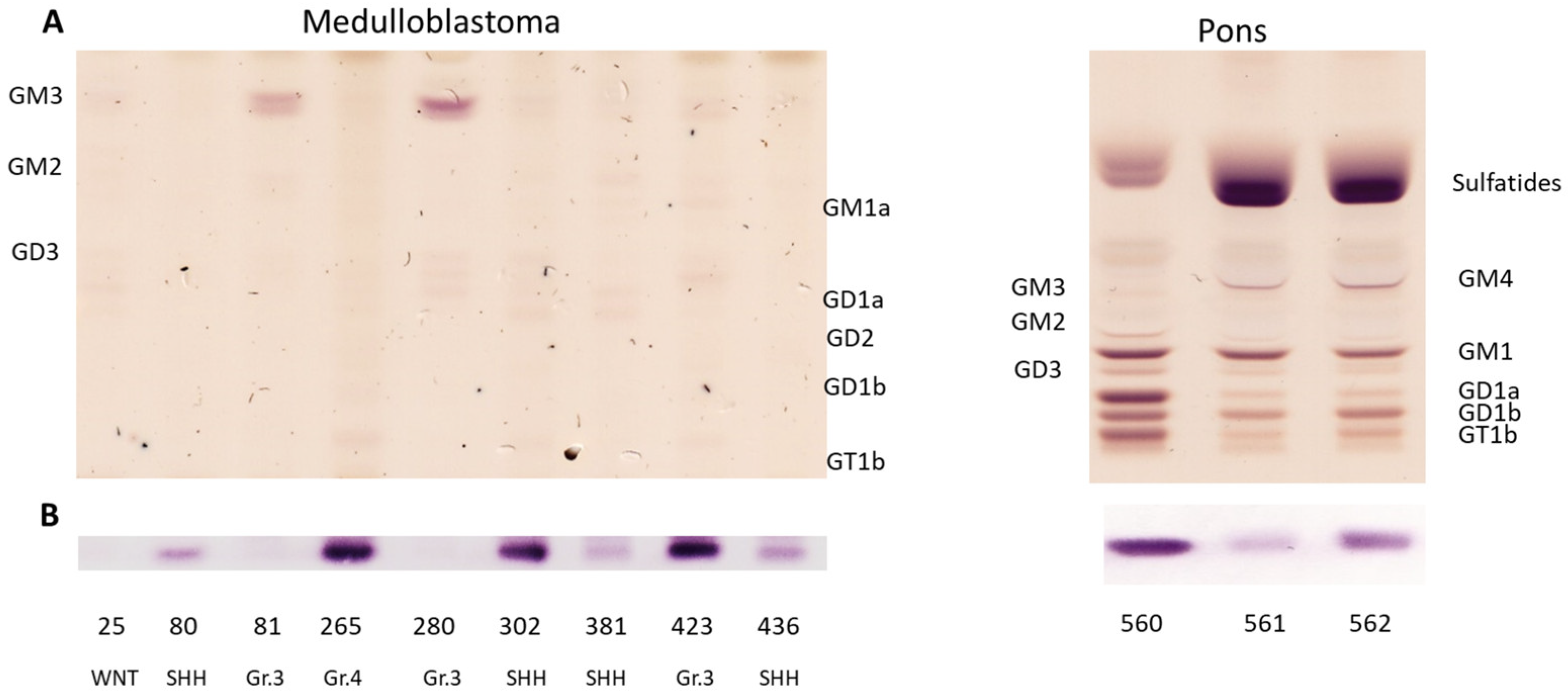 Cancers 14 06051 g003