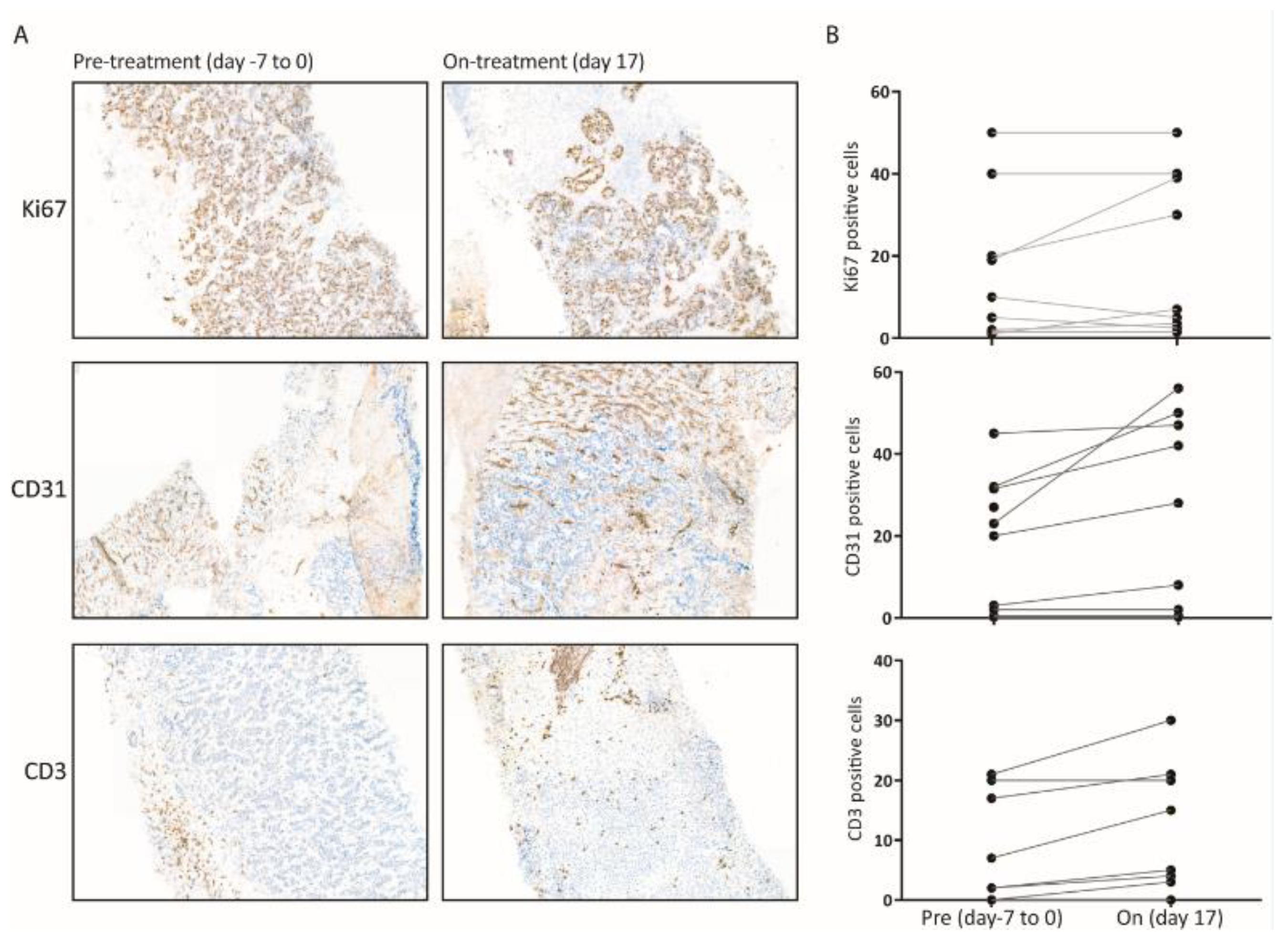 Cancers 14 06061 g003