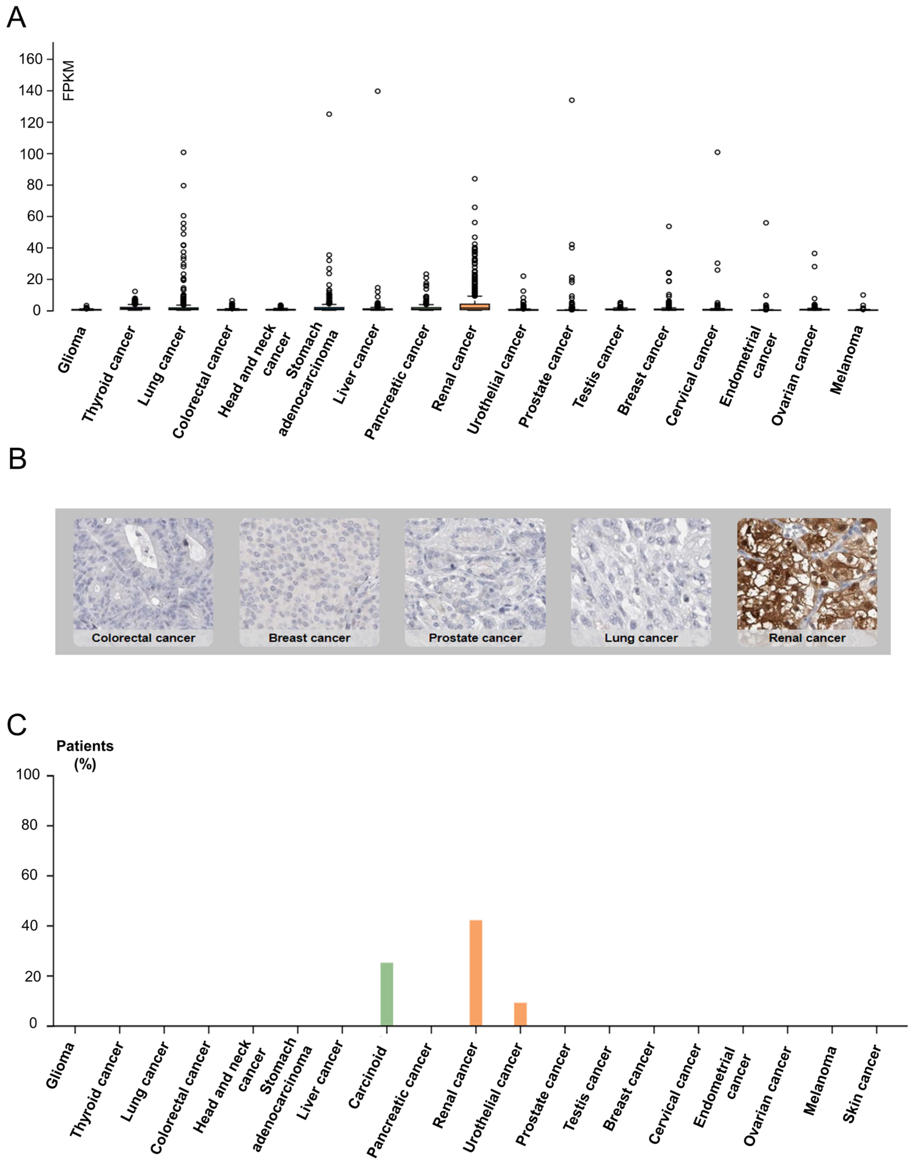 Cancers 14 06064 g001