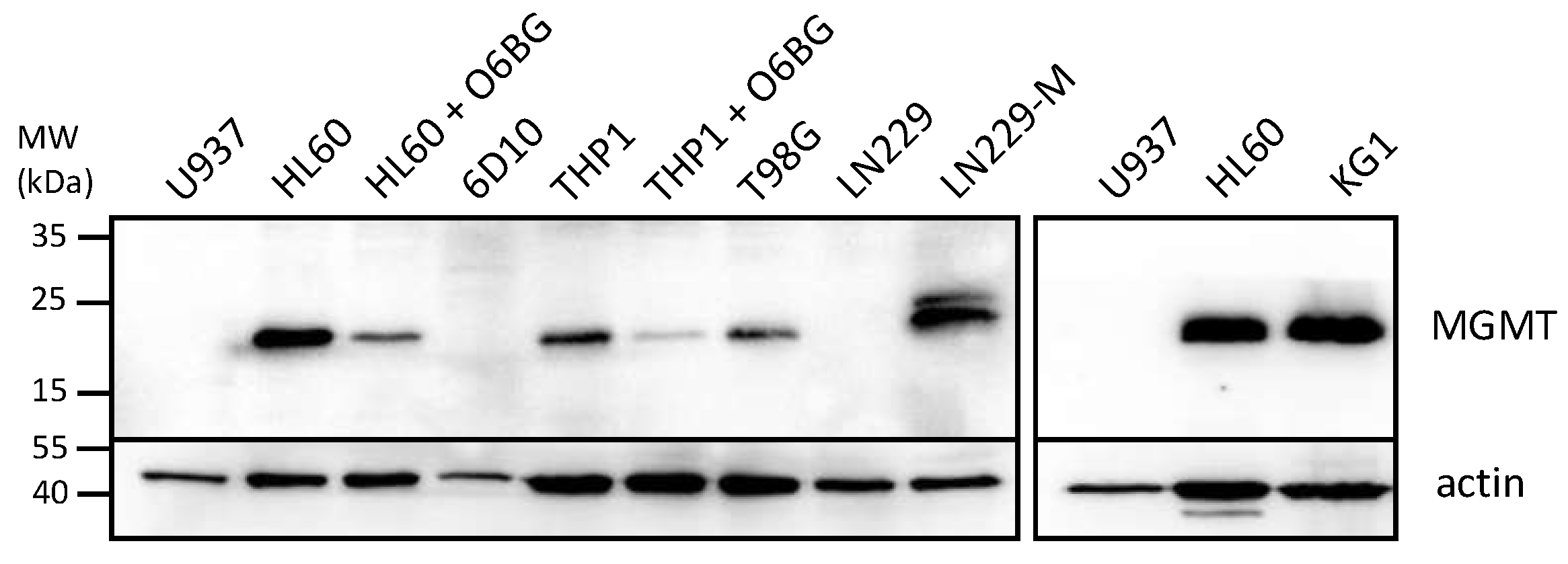 Cancers 14 06065 g002 Cancers 14 06065 g002