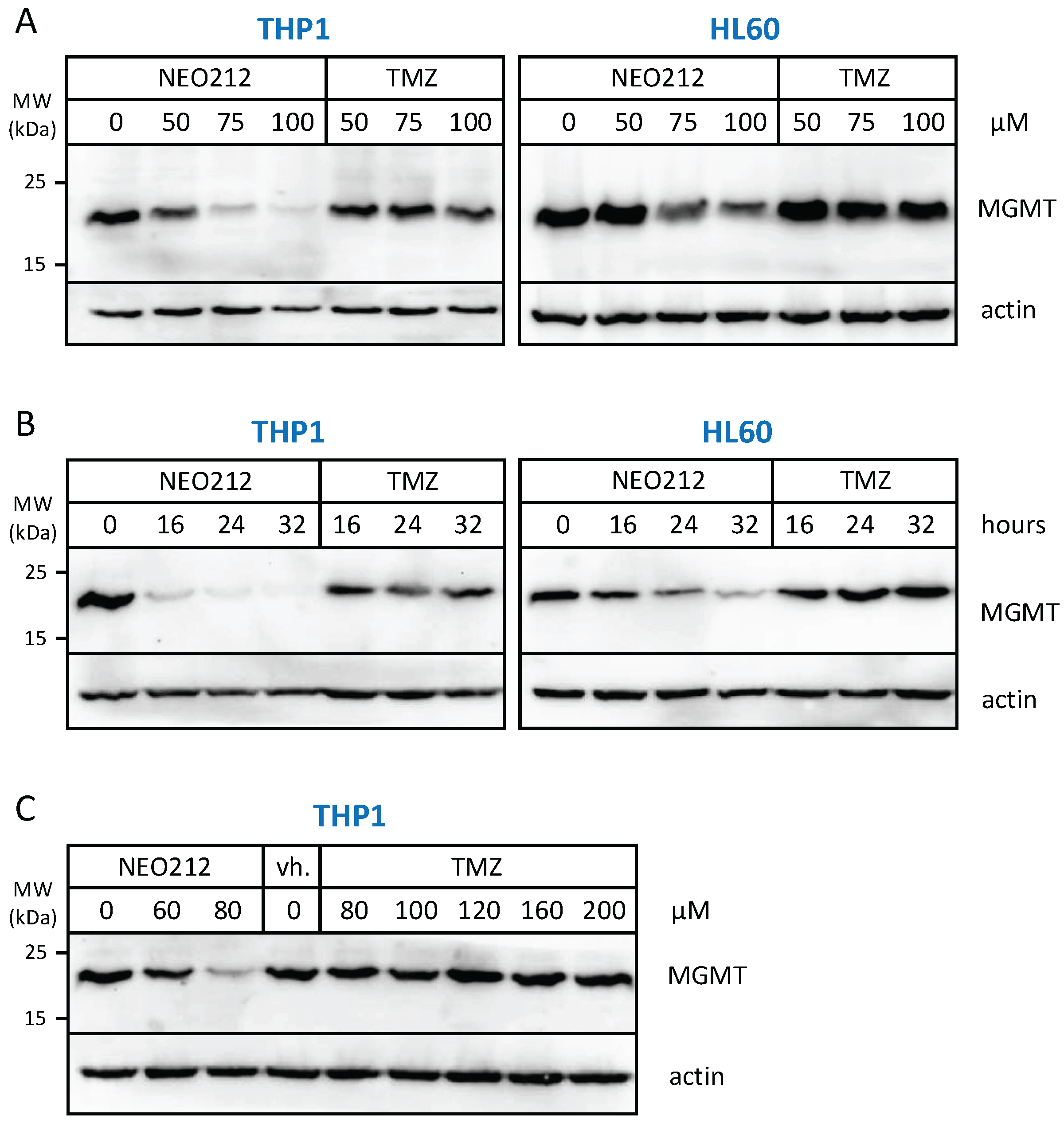 Cancers 14 06065 g004 Cancers 14 06065 g004