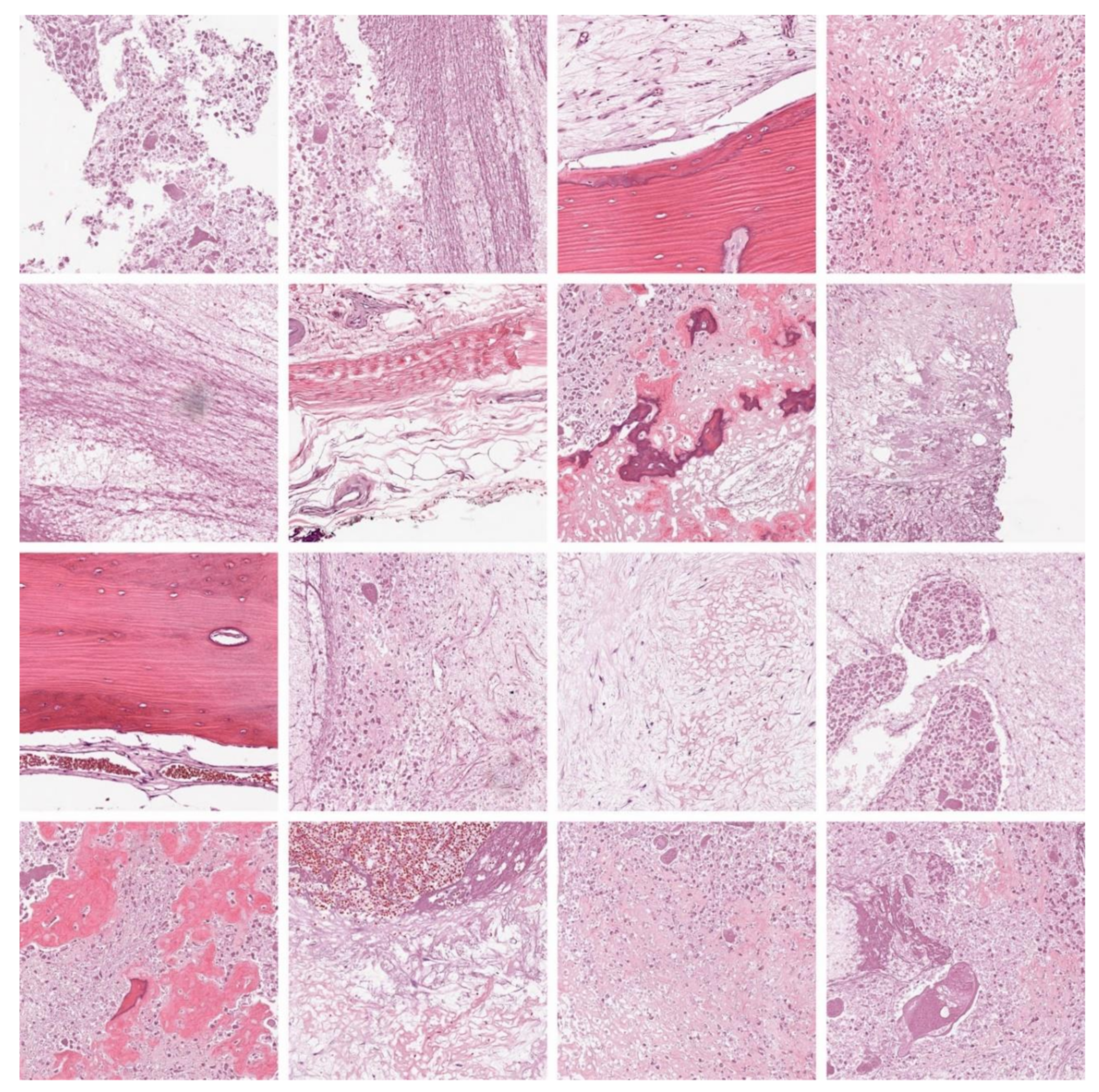 Cancers 14 06066 g003