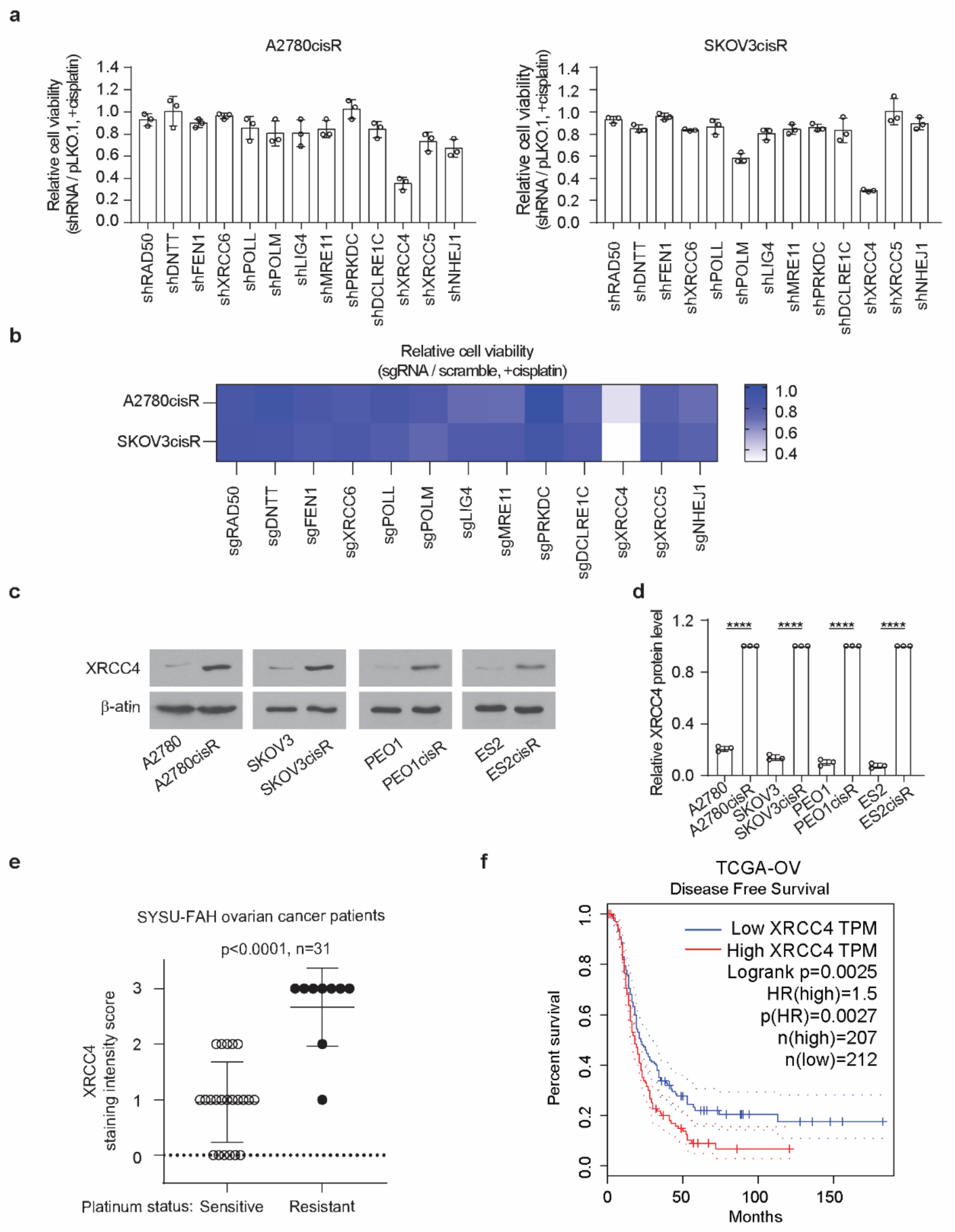Cancers 14 06068 g001 Cancers 14 06068 g001