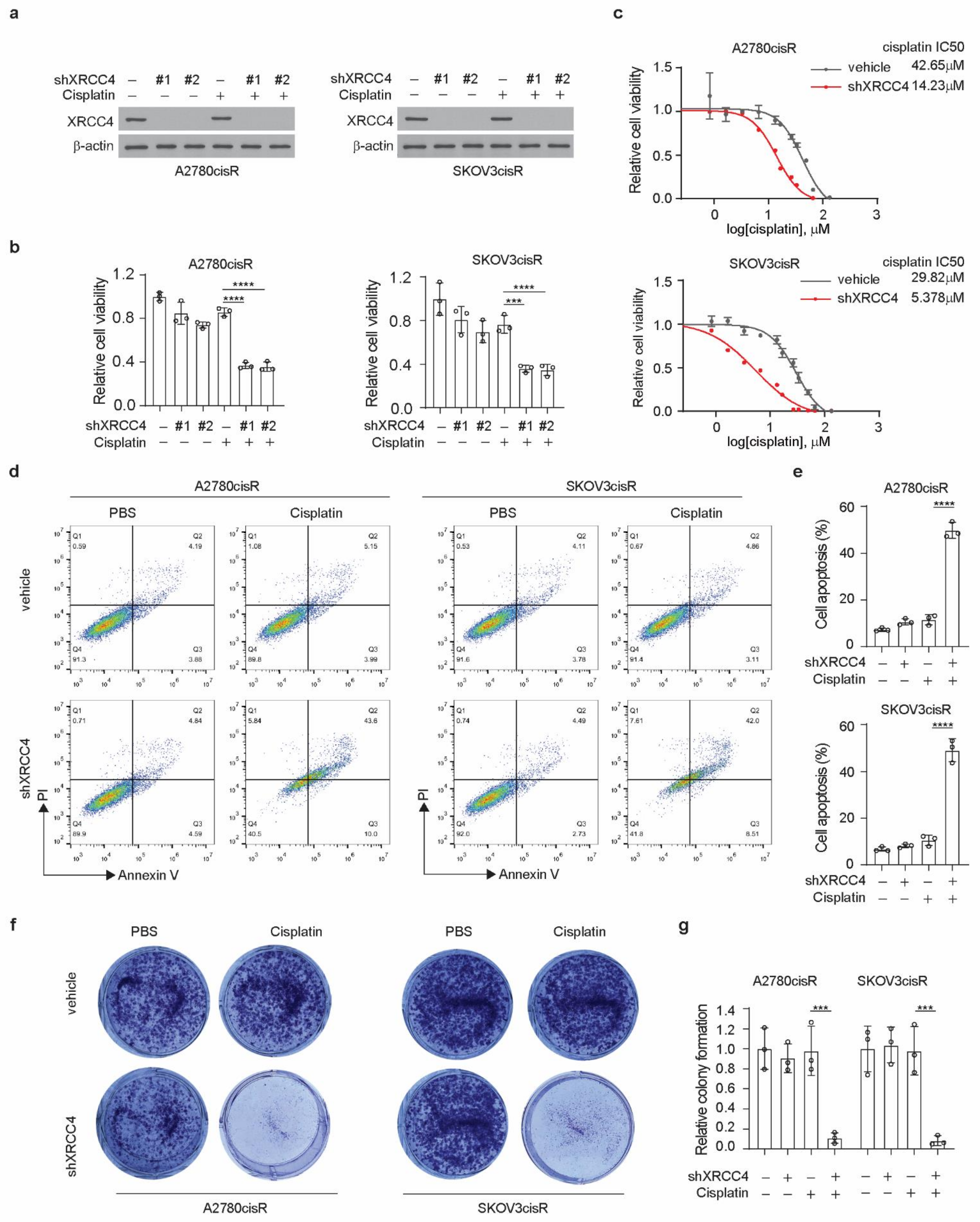 Cancers 14 06068 g002 Cancers 14 06068 g002