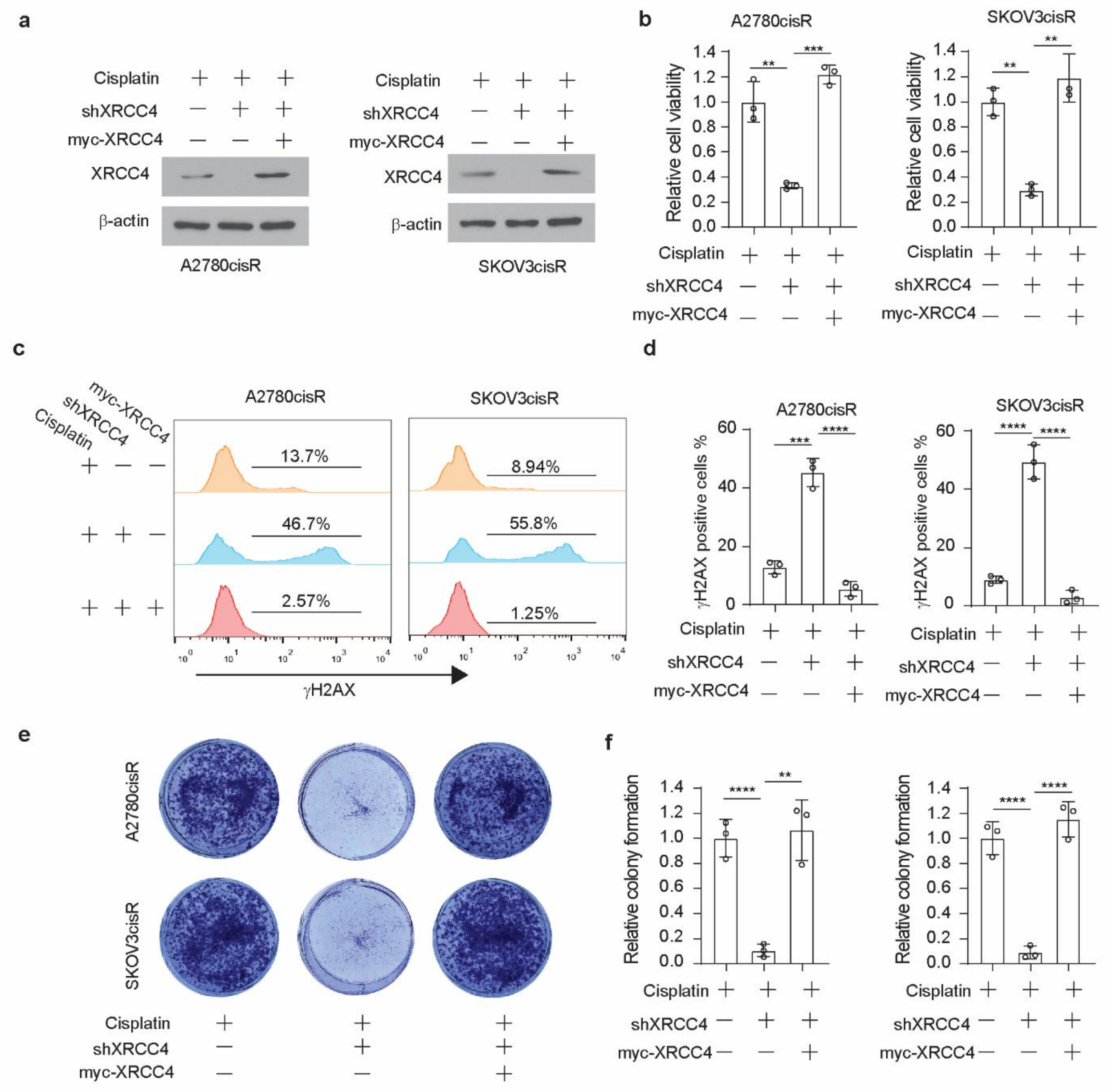 Cancers 14 06068 g004 Cancers 14 06068 g004