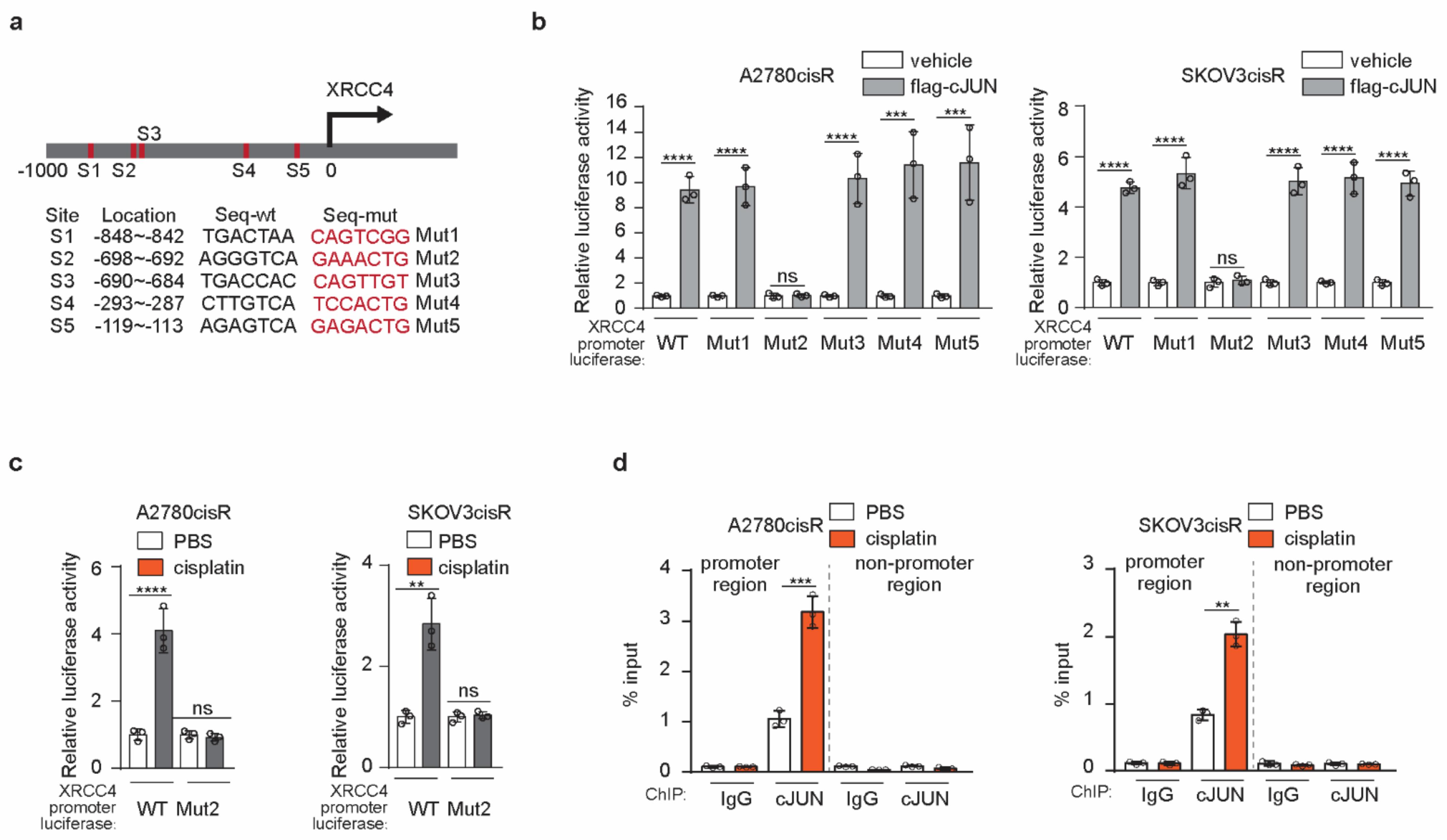 Cancers 14 06068 g005 Cancers 14 06068 g005