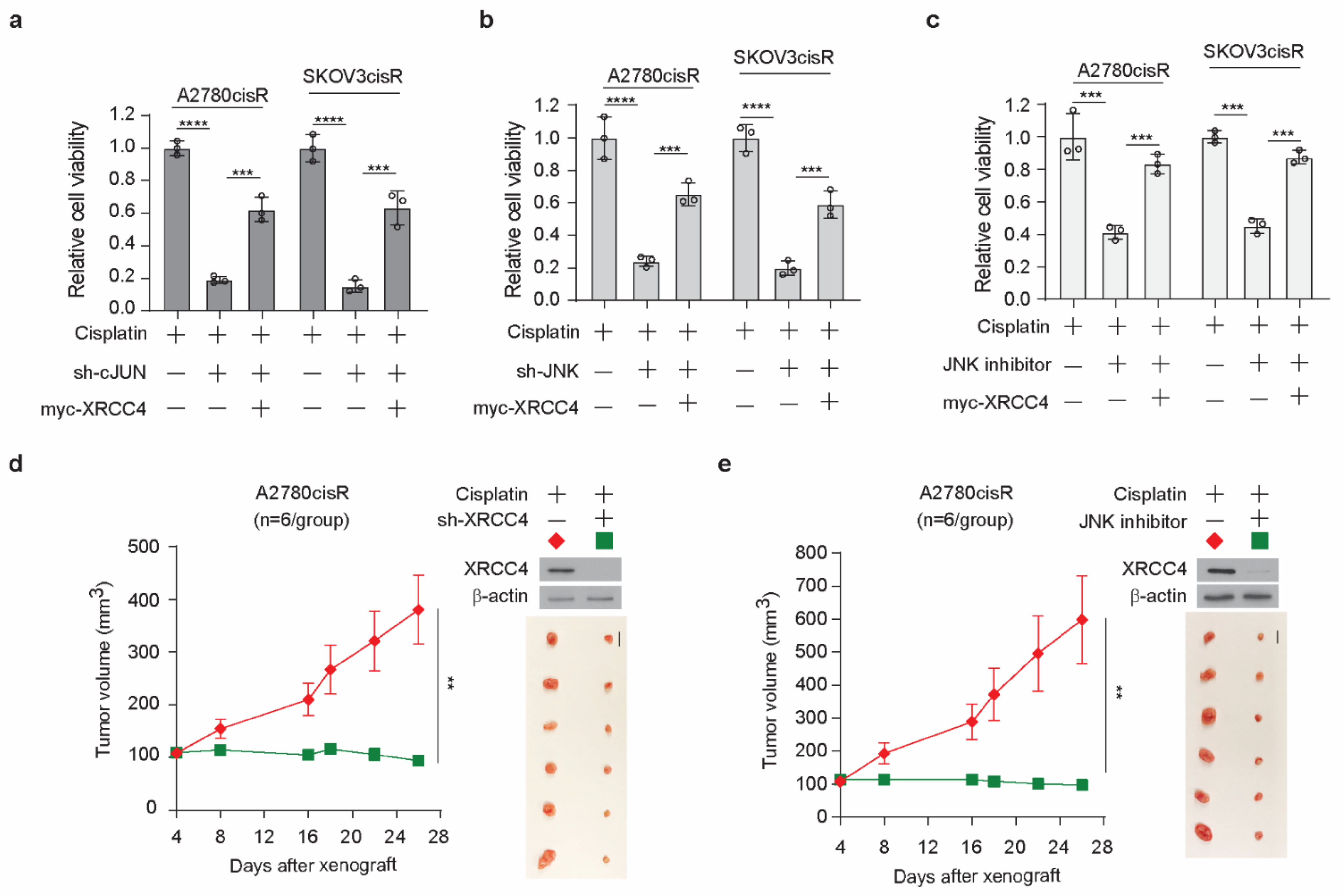 Cancers 14 06068 g007 Cancers 14 06068 g007