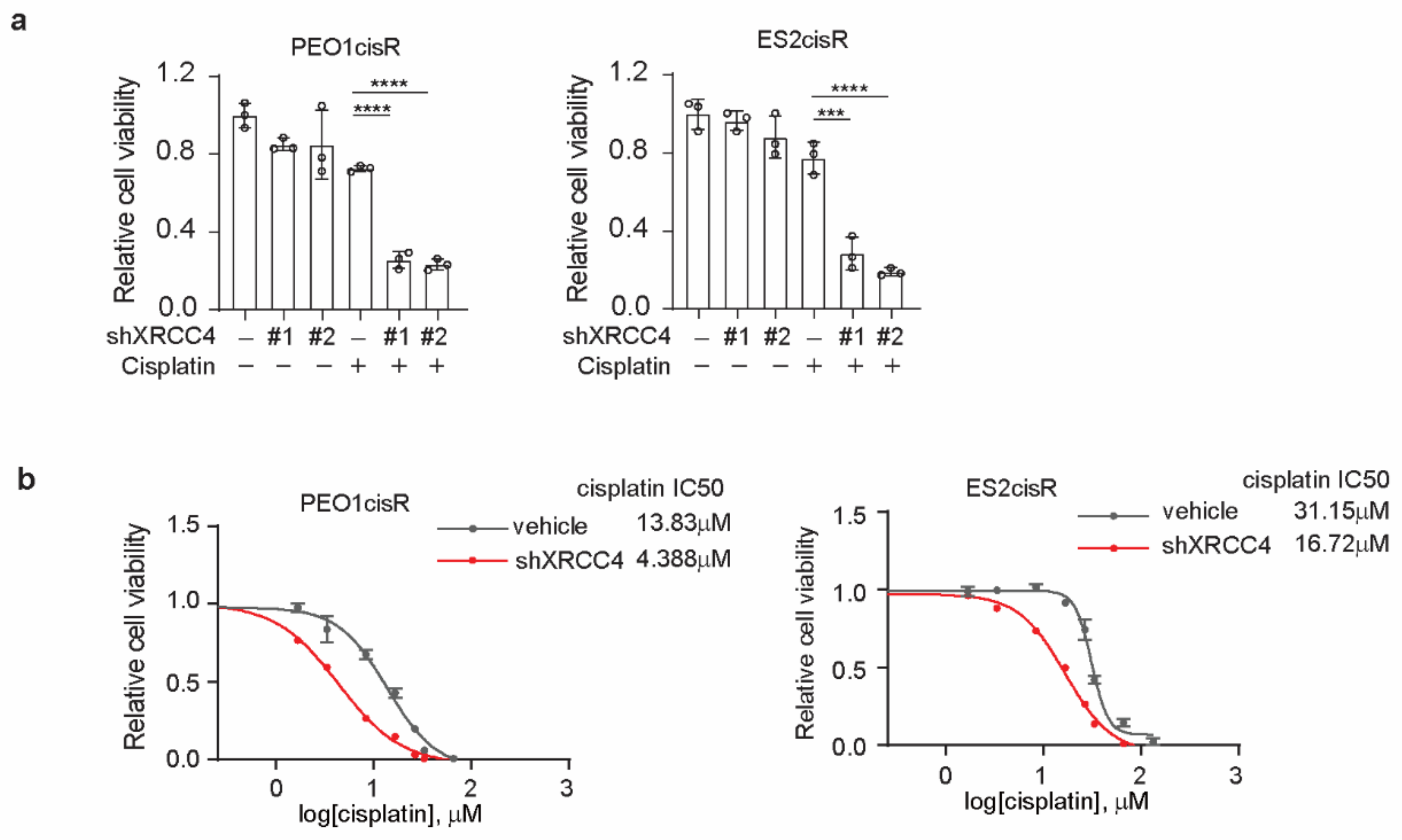Cancers 14 06068 g0a2 Cancers 14 06068 g0a2
