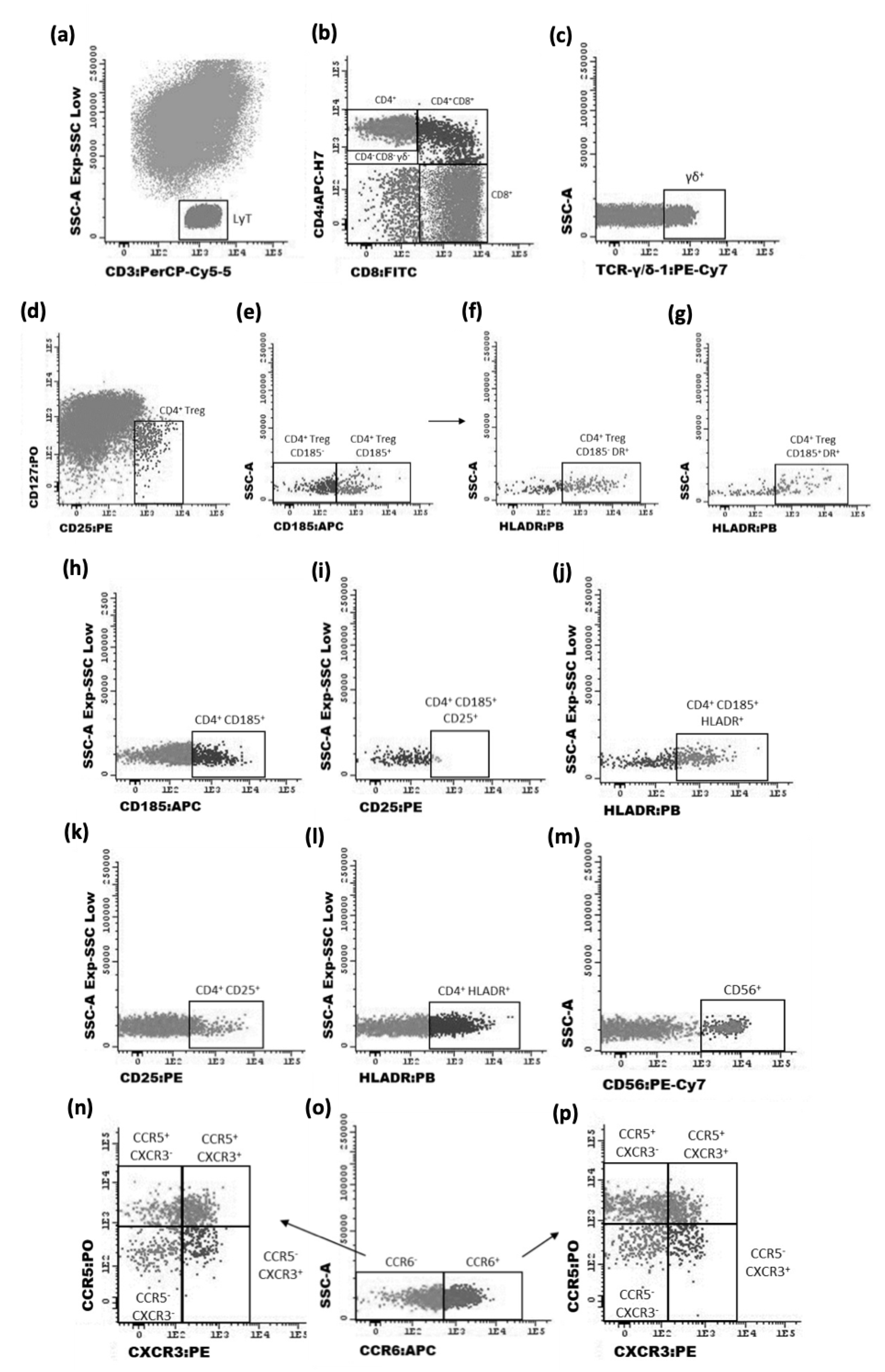 Cancers 14 06069 g002