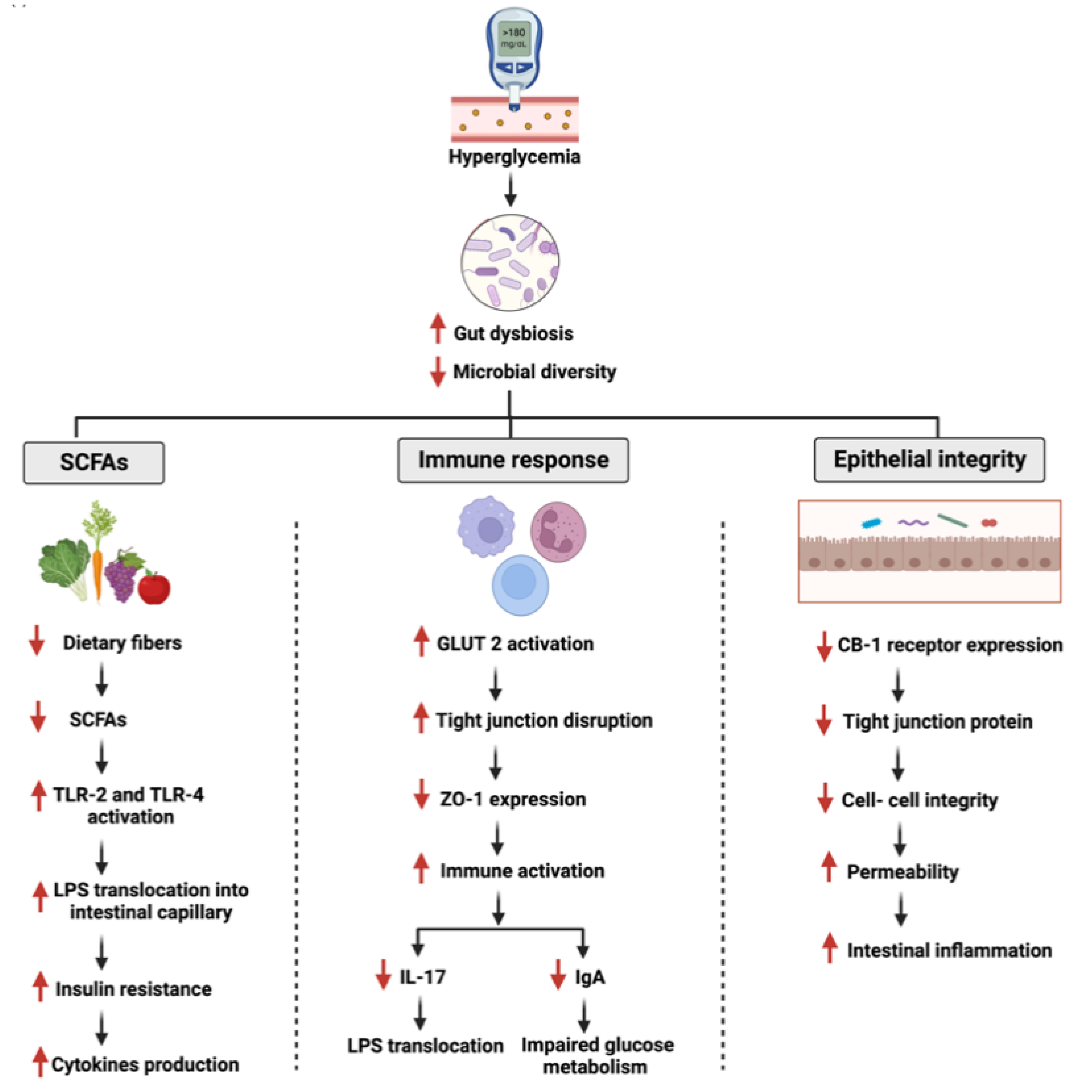 Cancers 14 06073 g002