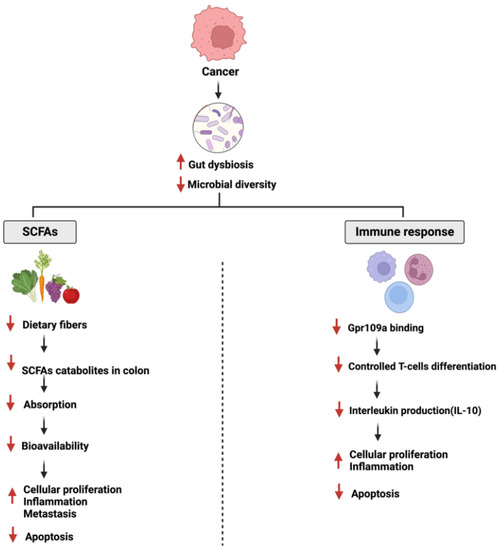 Cancers Free FullText Flavonoids’ Dual Benefits in Gastrointestinal Cancer and Diabetes A