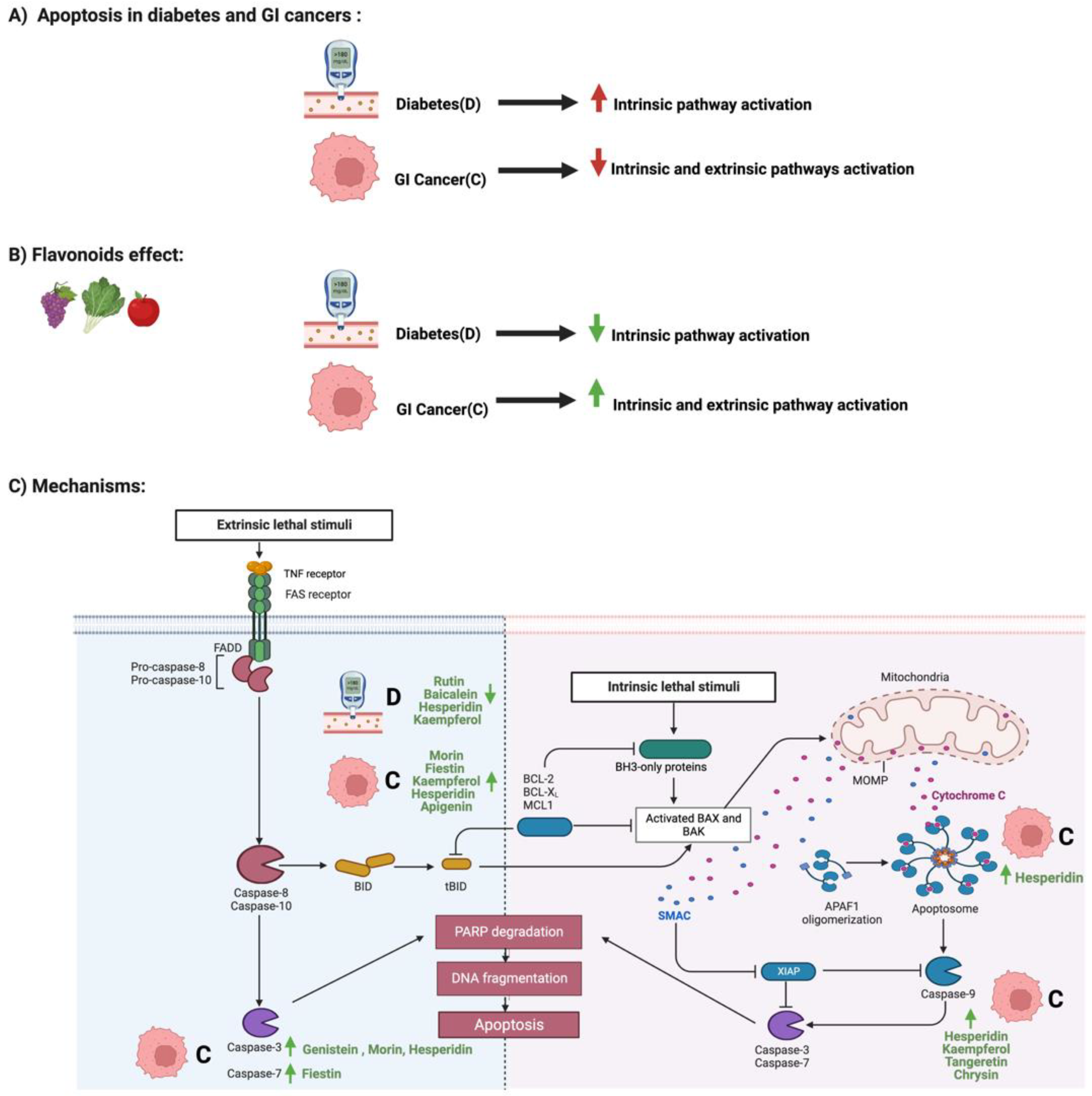Cancers 14 06073 g005