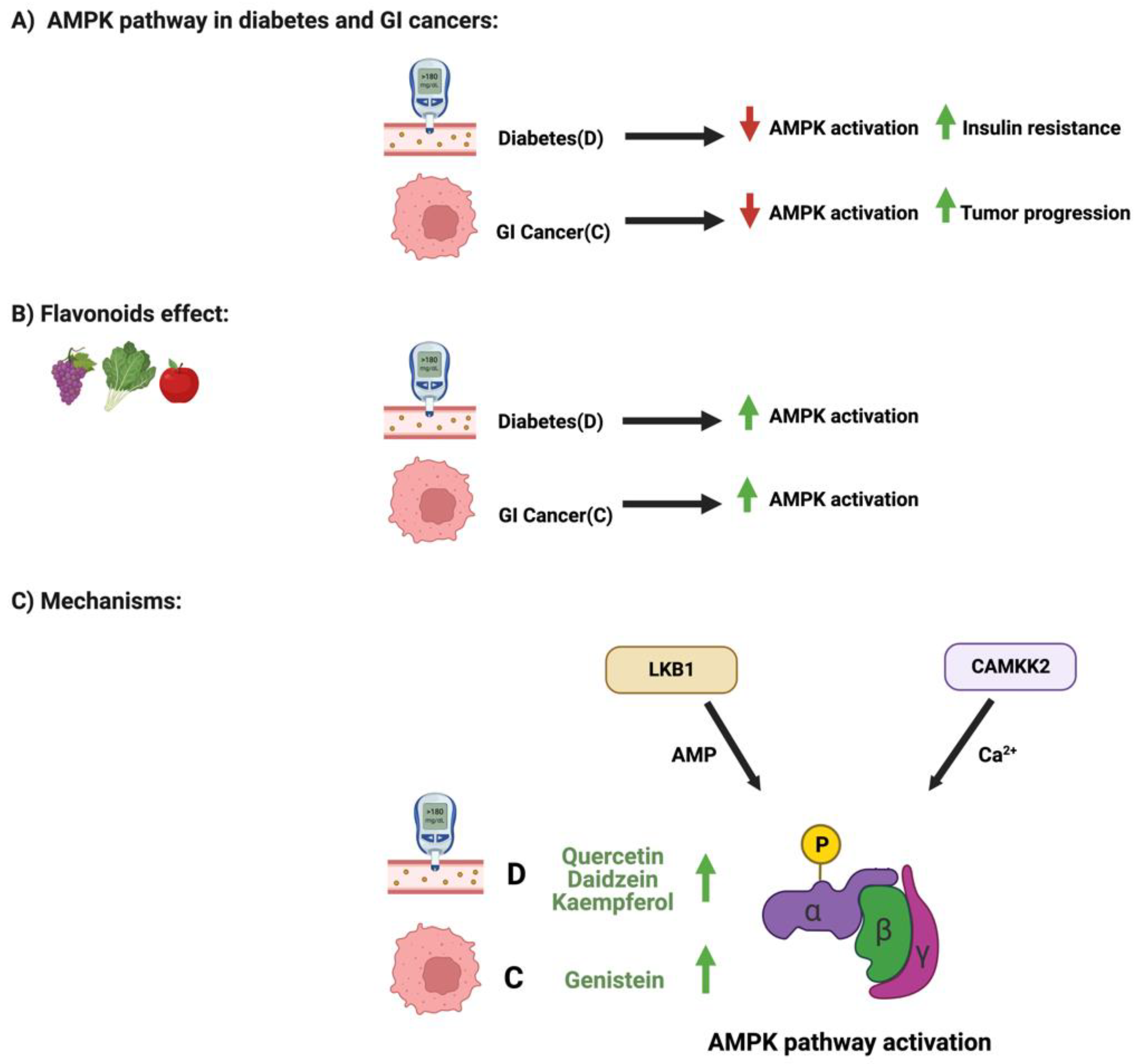 Cancers Free FullText Flavonoids’ Dual Benefits in