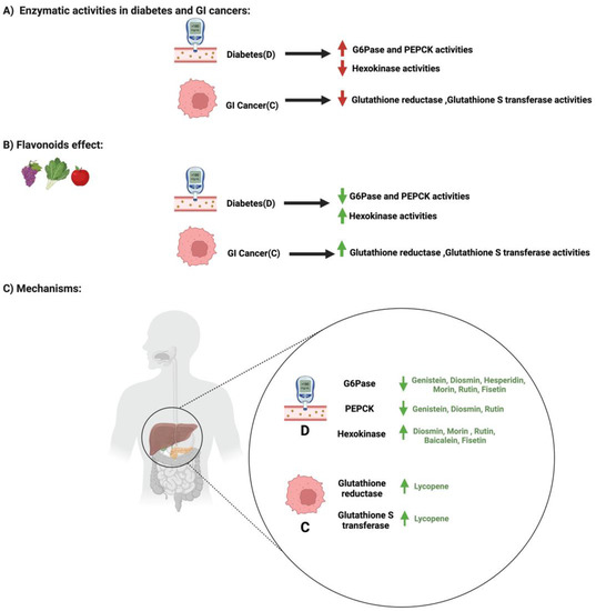 Cancers Free FullText Flavonoids’ Dual Benefits in
