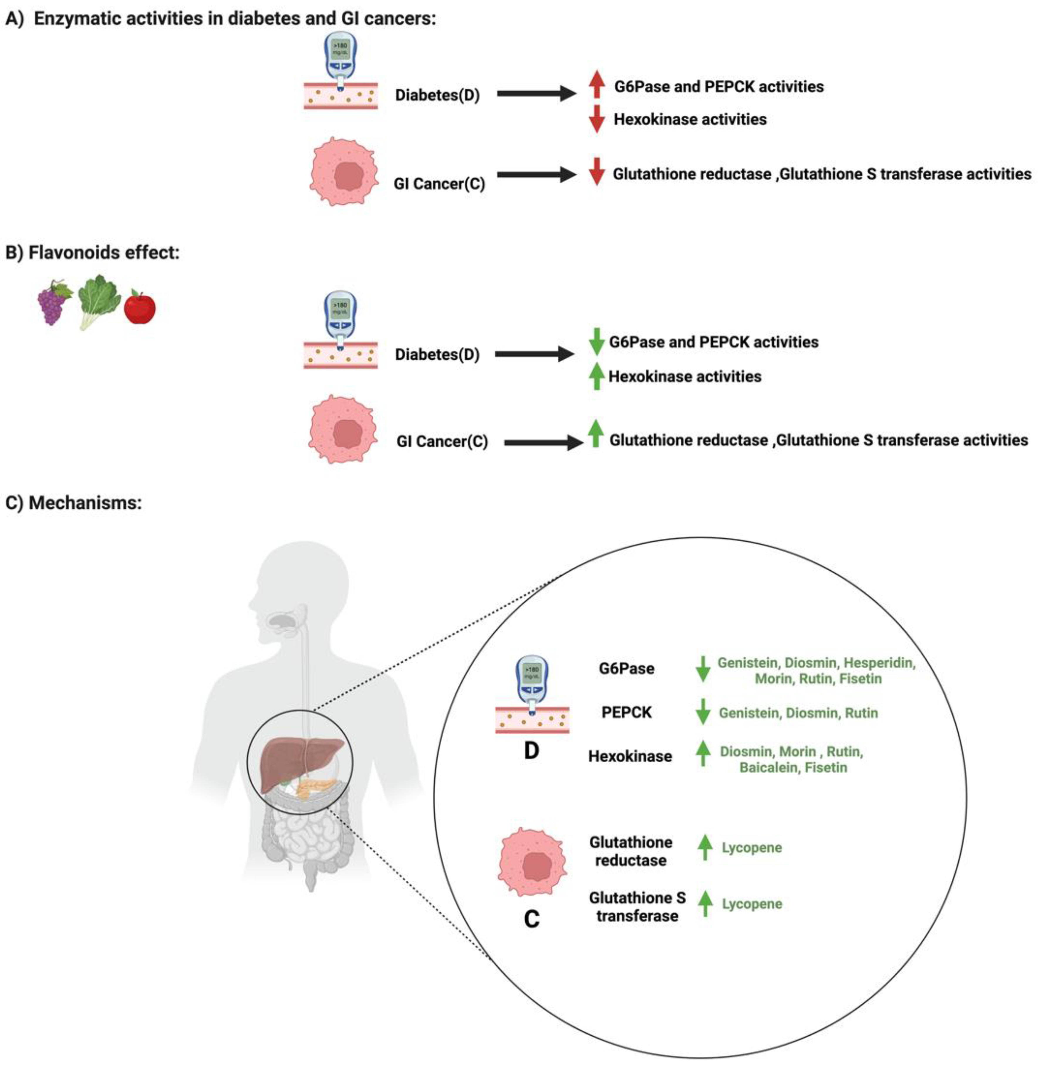 Cancers Free FullText Flavonoids’ Dual Benefits in