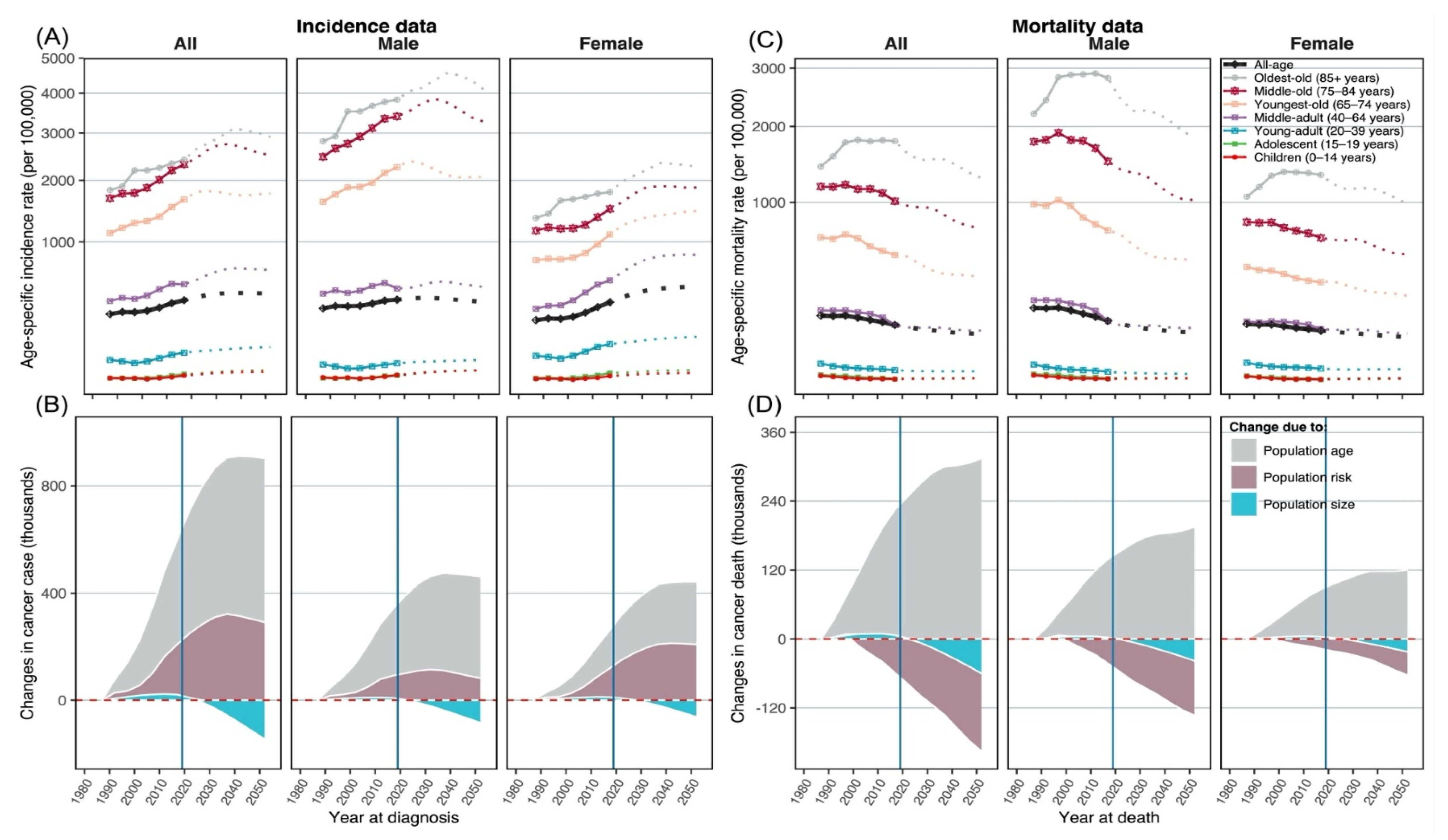 Cancers 14 06076 g001
