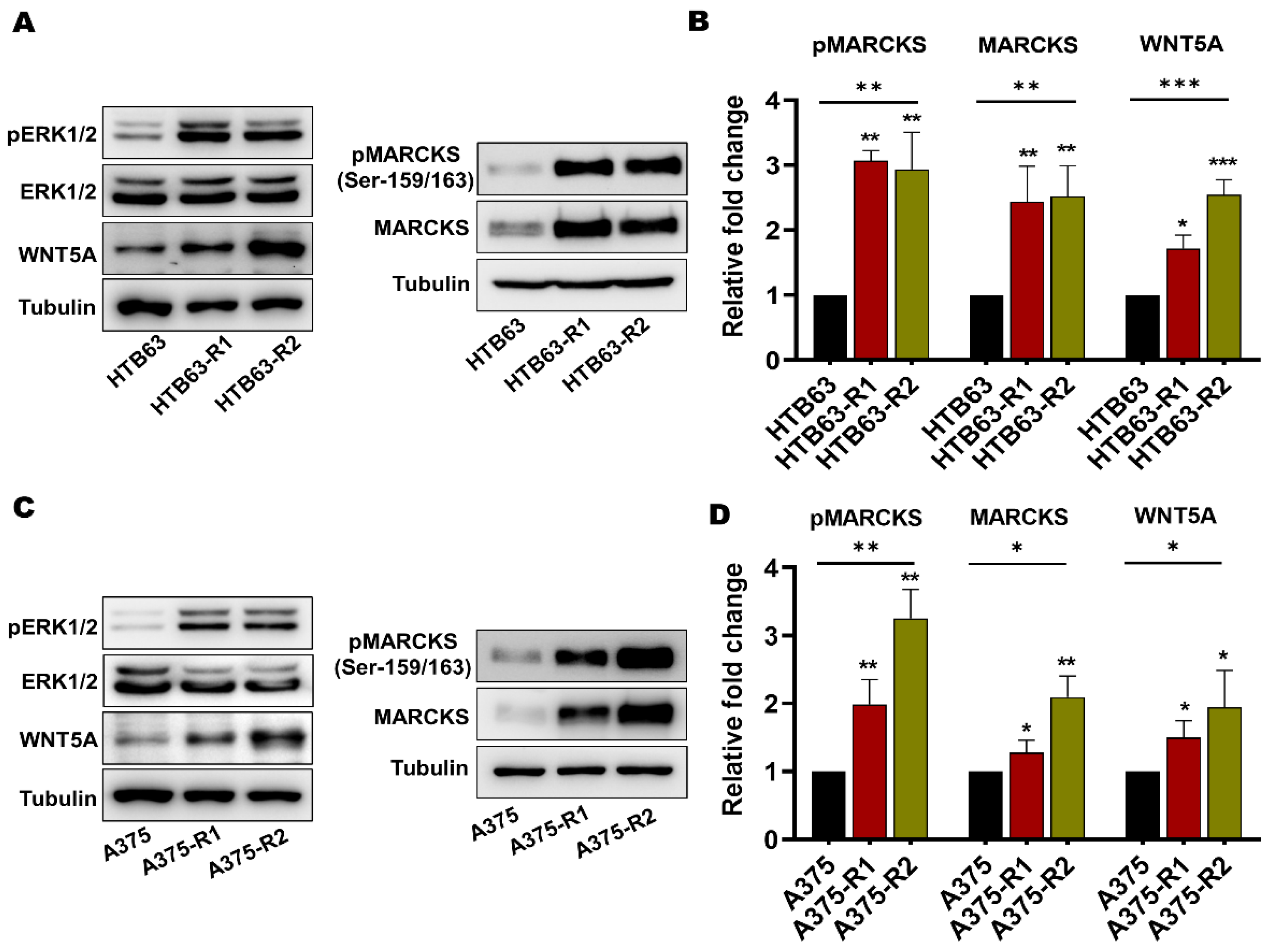Cancers 14 06077 g002 Cancers 14 06077 g002