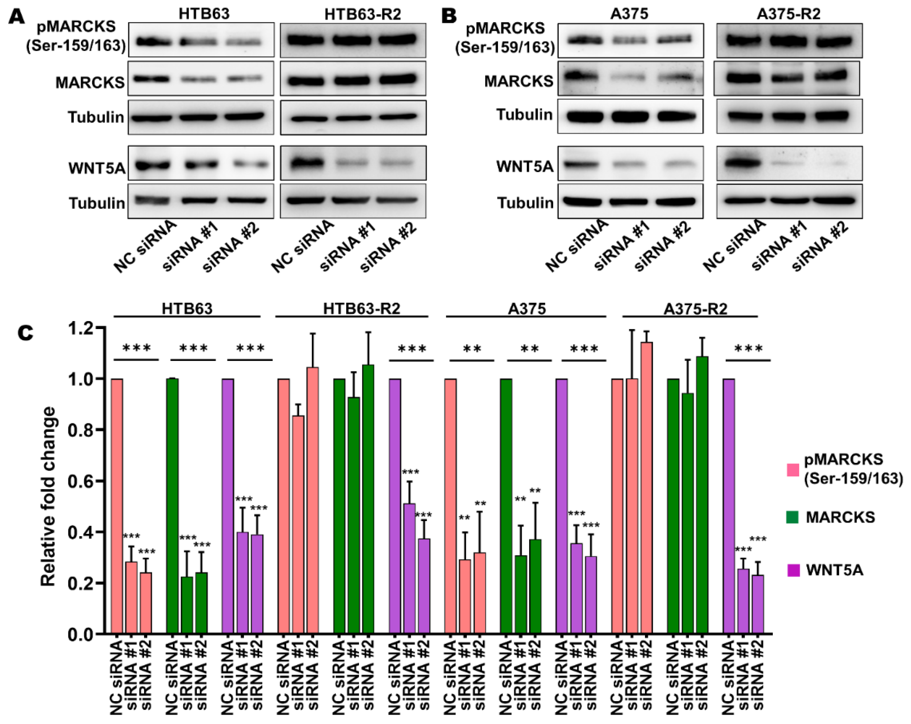 Cancers 14 06077 g003 Cancers 14 06077 g003