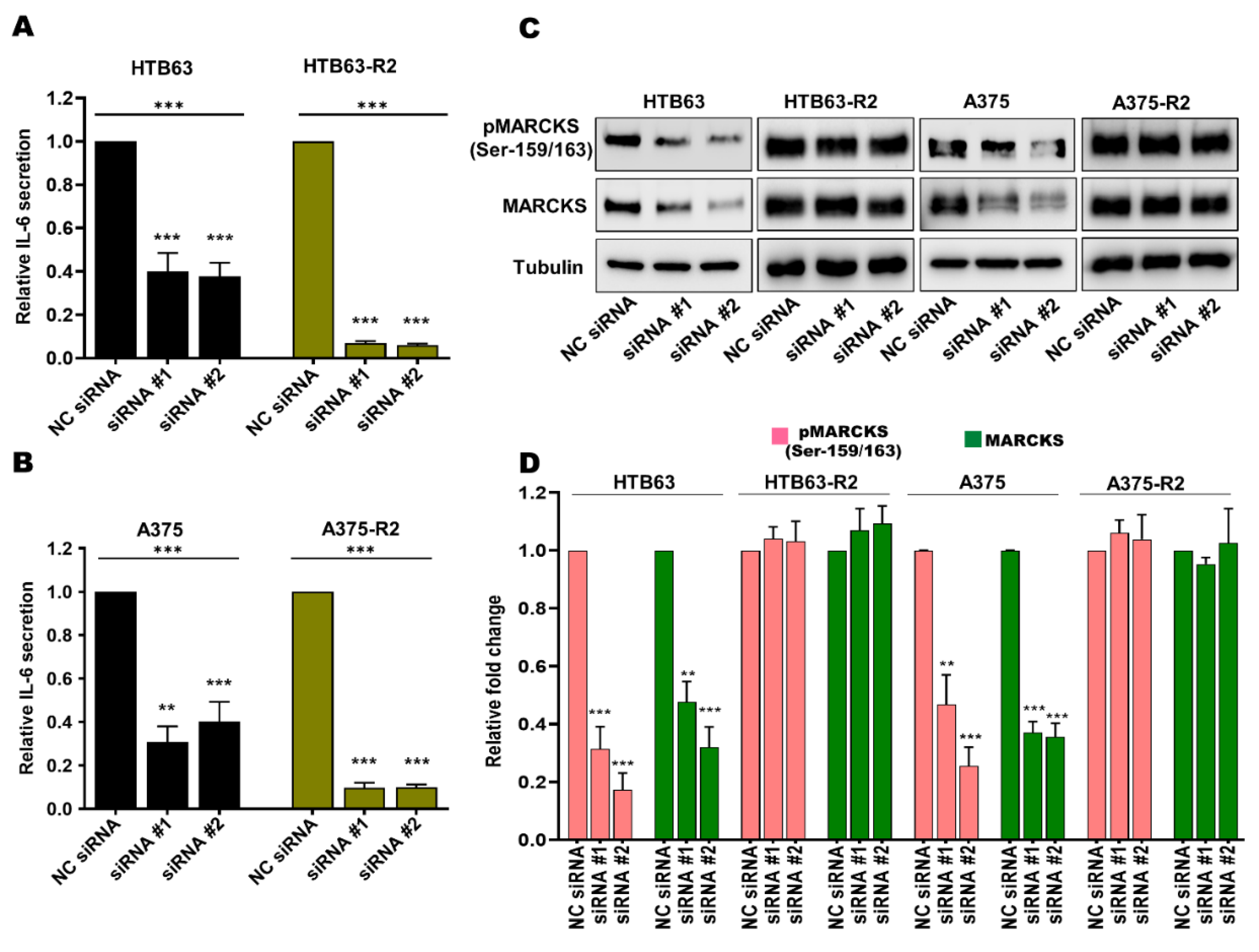 Cancers 14 06077 g004 Cancers 14 06077 g004