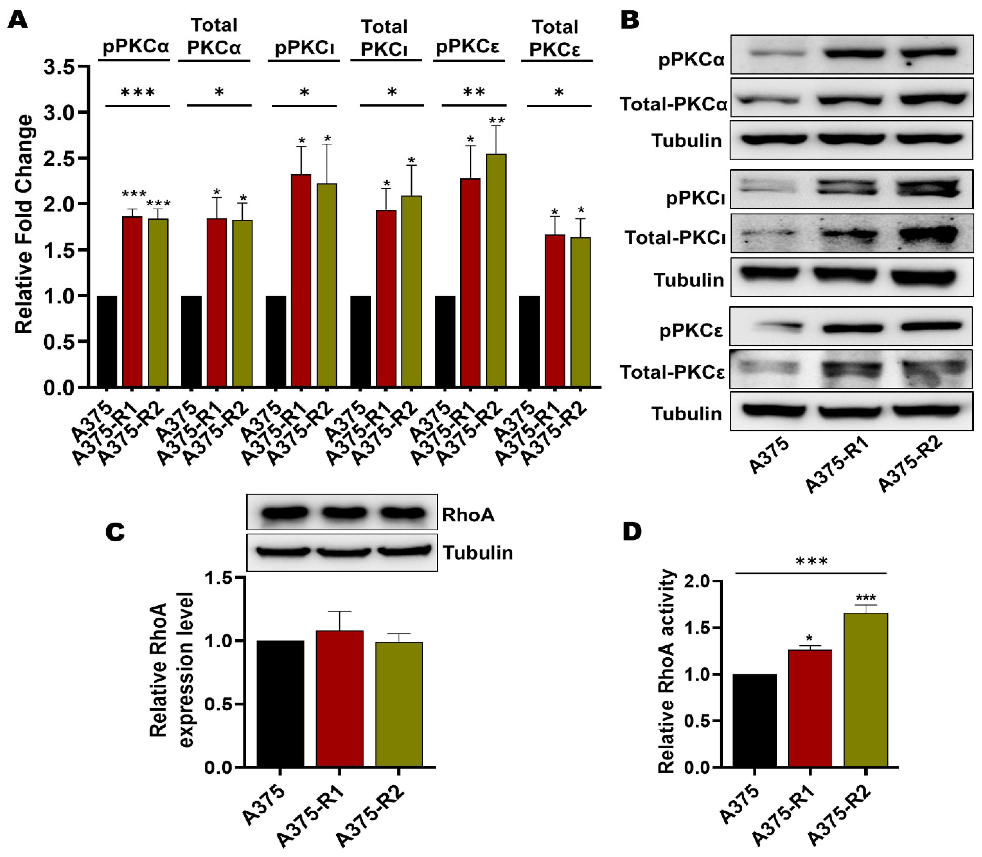Cancers 14 06077 g007 Cancers 14 06077 g007