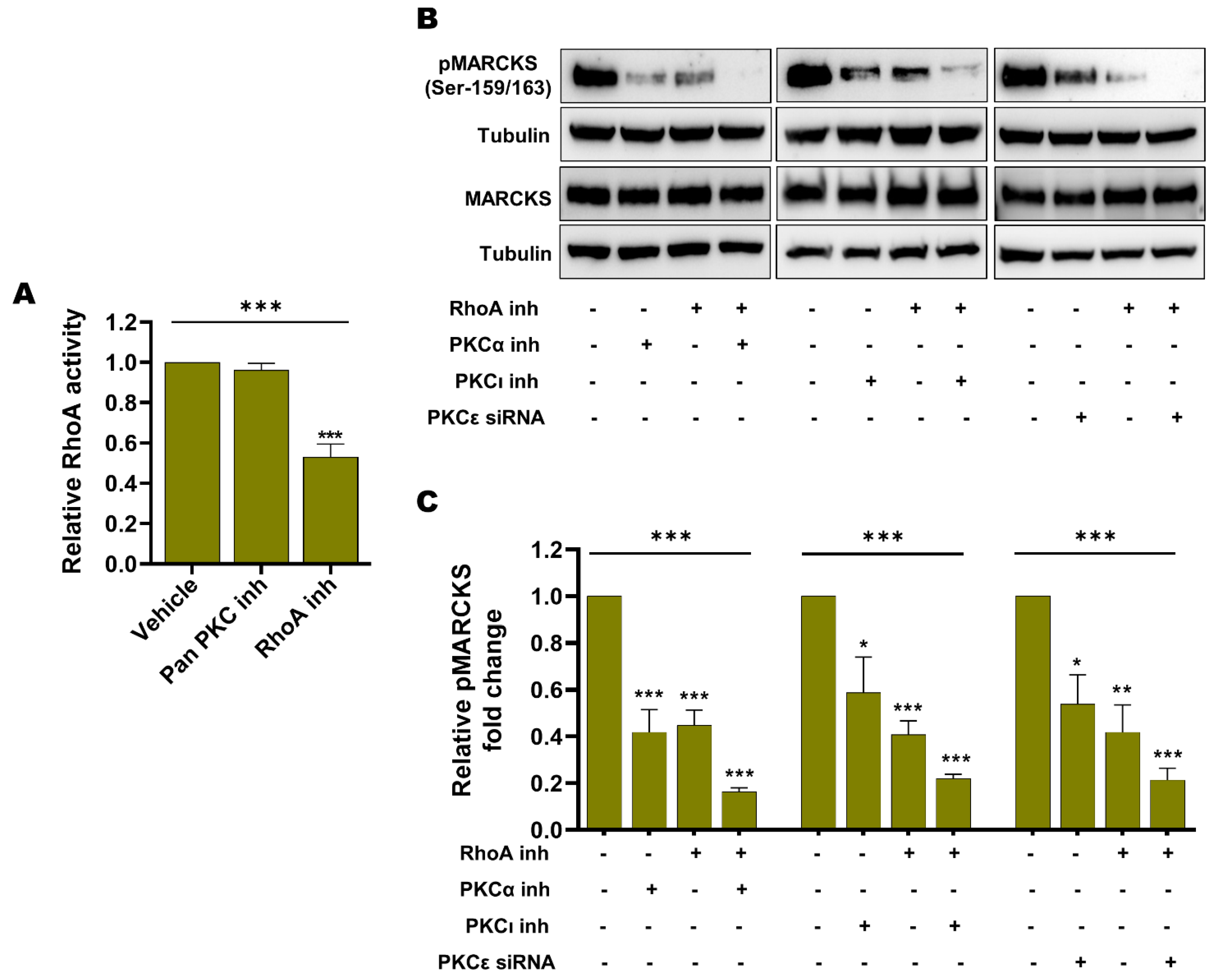Cancers 14 06077 g008 Cancers 14 06077 g008