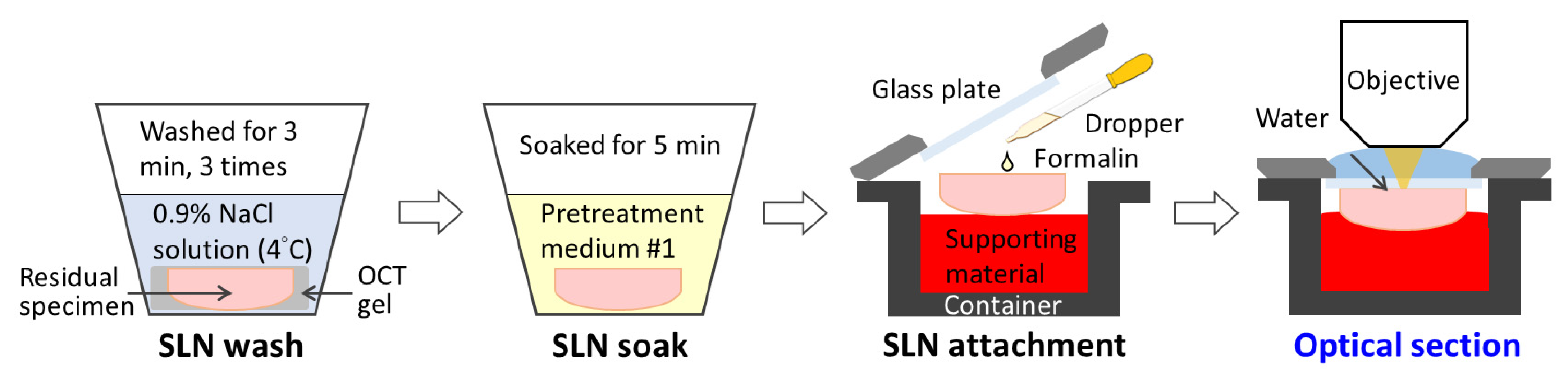 Cancers 14 06081 g002 Cancers 14 06081 g002