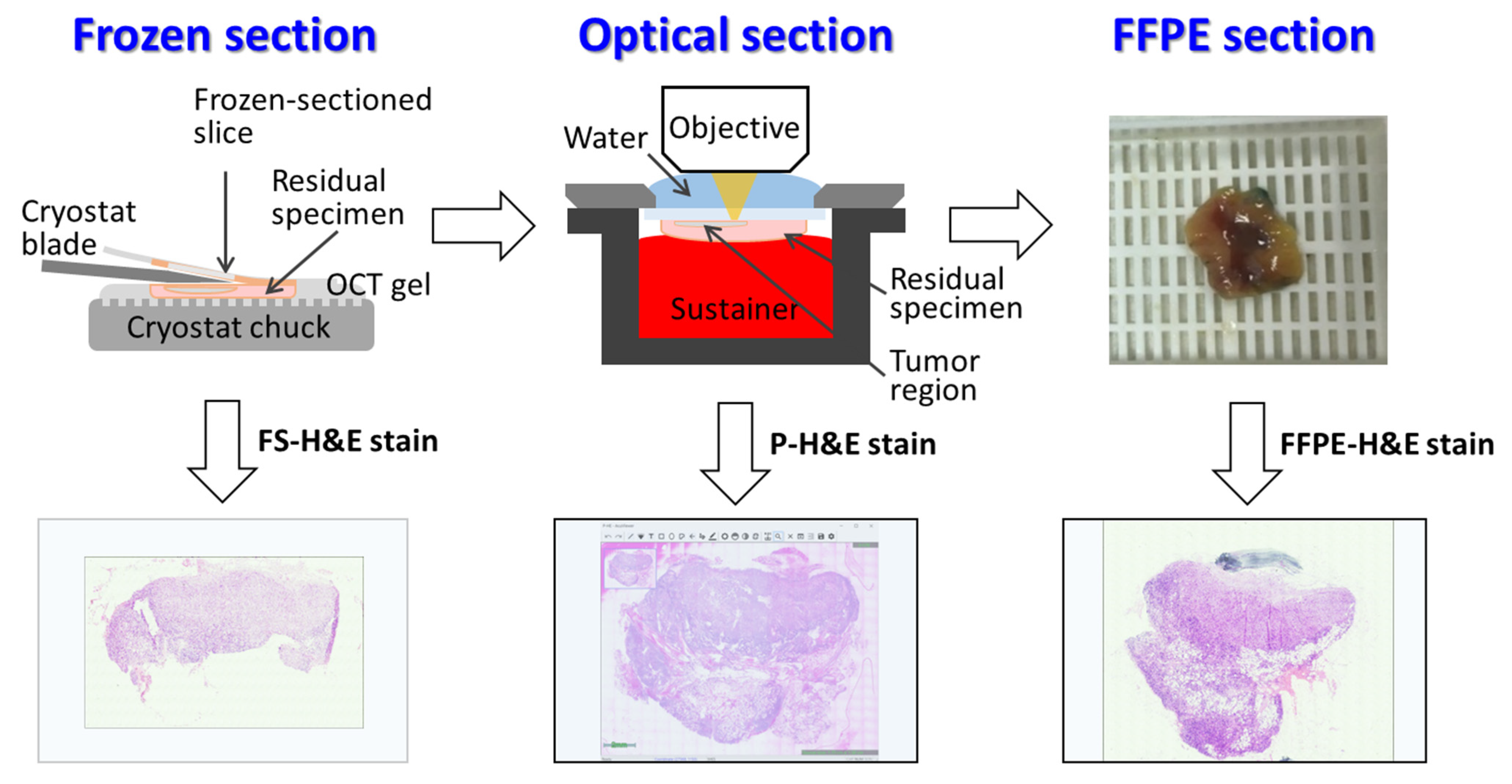 Cancers 14 06081 g003 Cancers 14 06081 g003