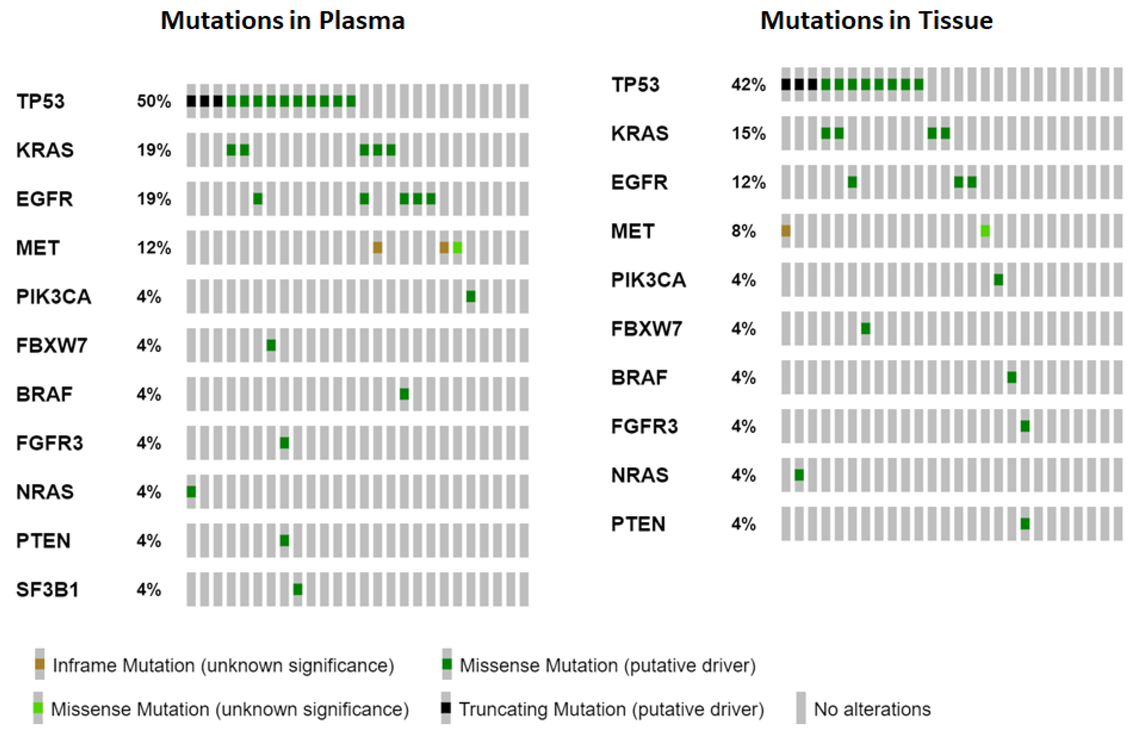 Cancers 14 06084 g001