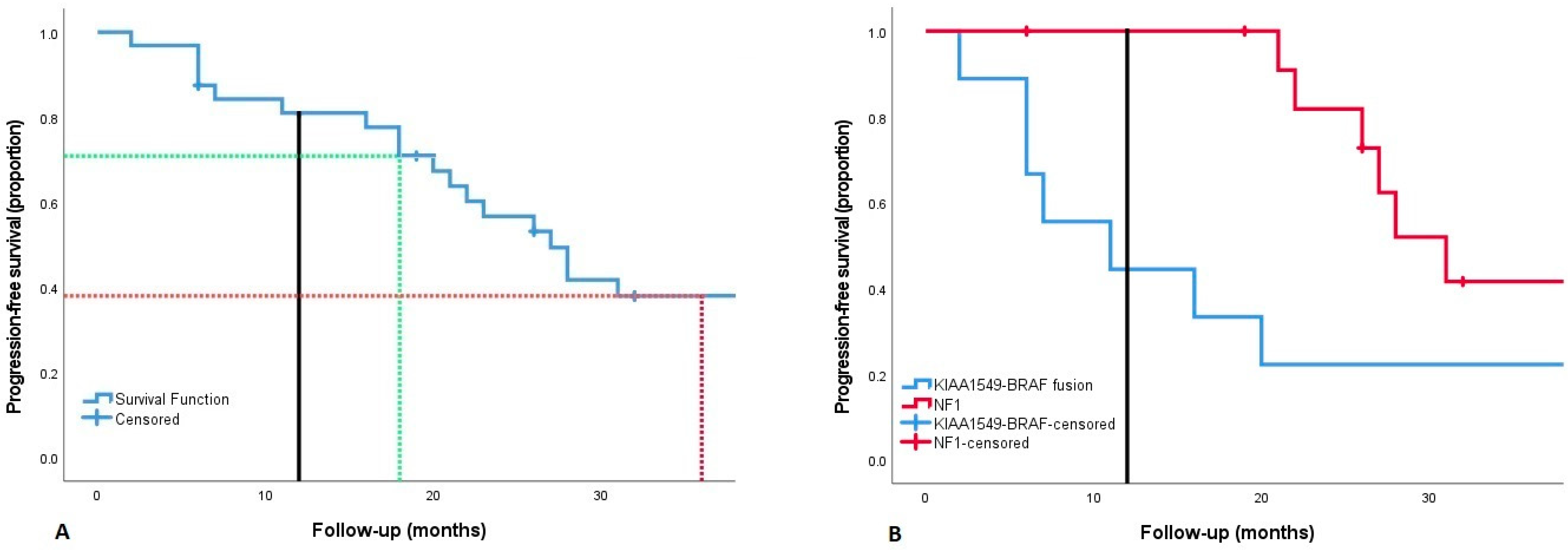 Cancers 14 06087 g001 Cancers 14 06087 g001