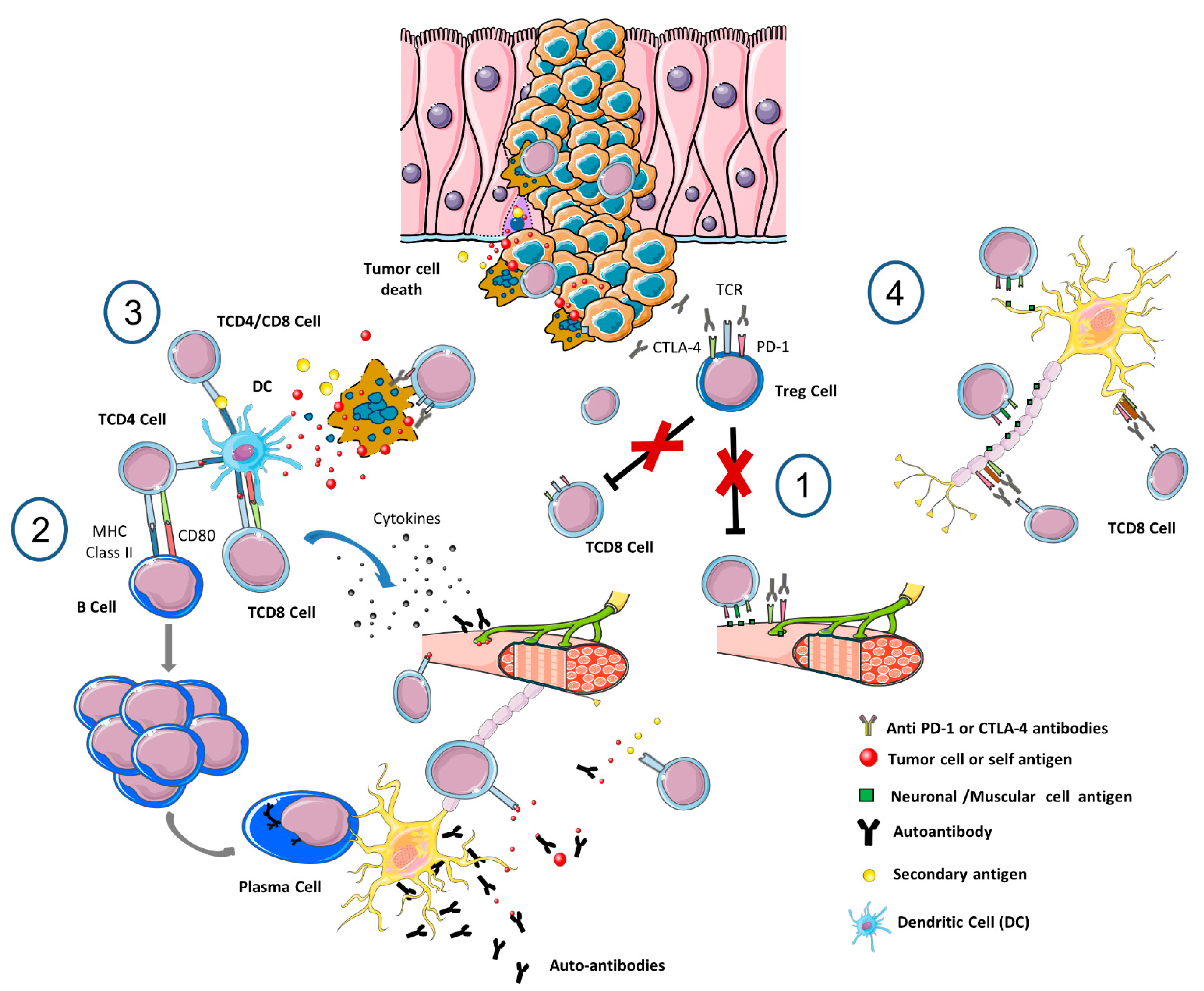 Cancers 14 06088 g001 Cancers 14 06088 g001