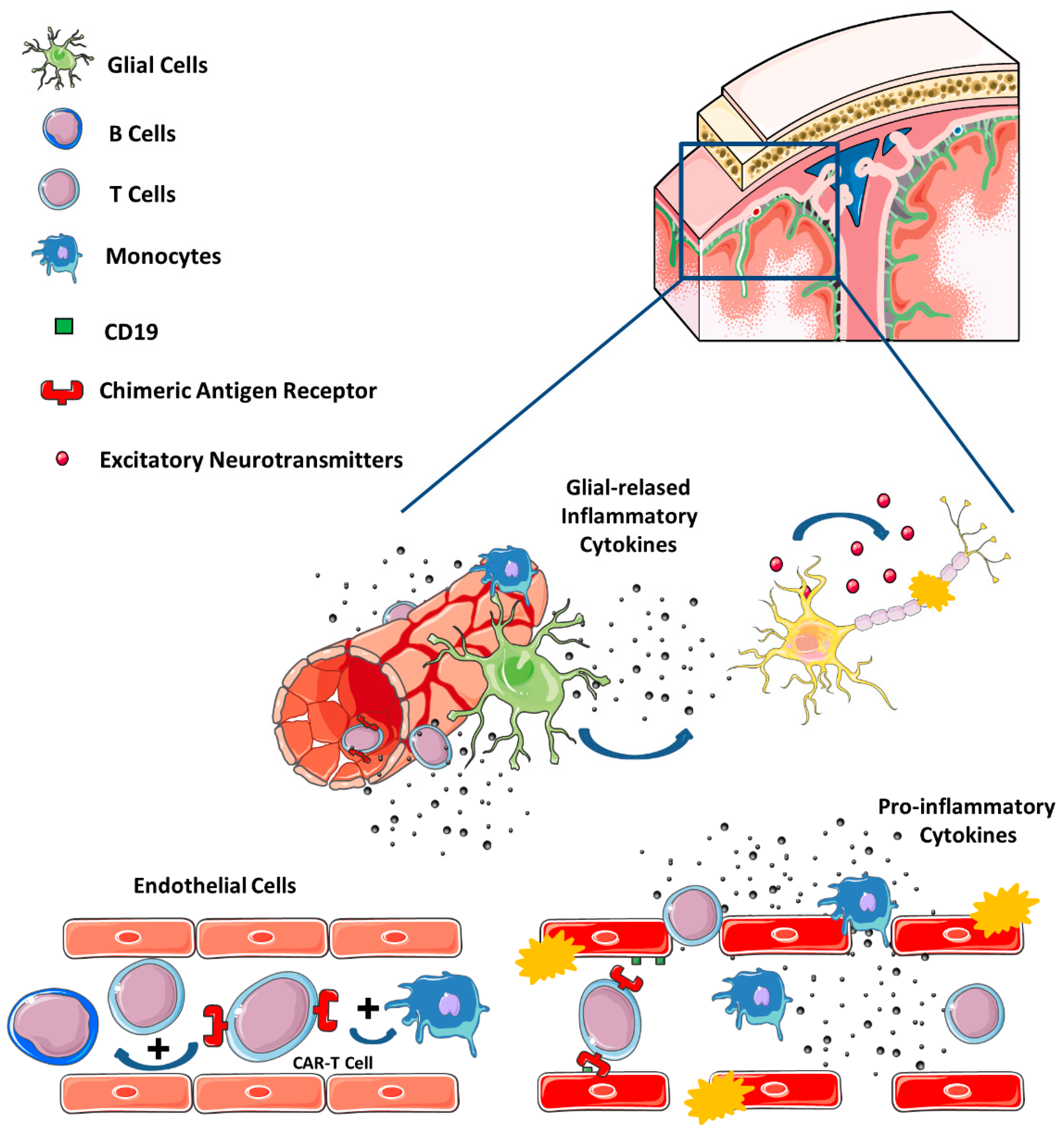 Cancers 14 06088 g002 Cancers 14 06088 g002