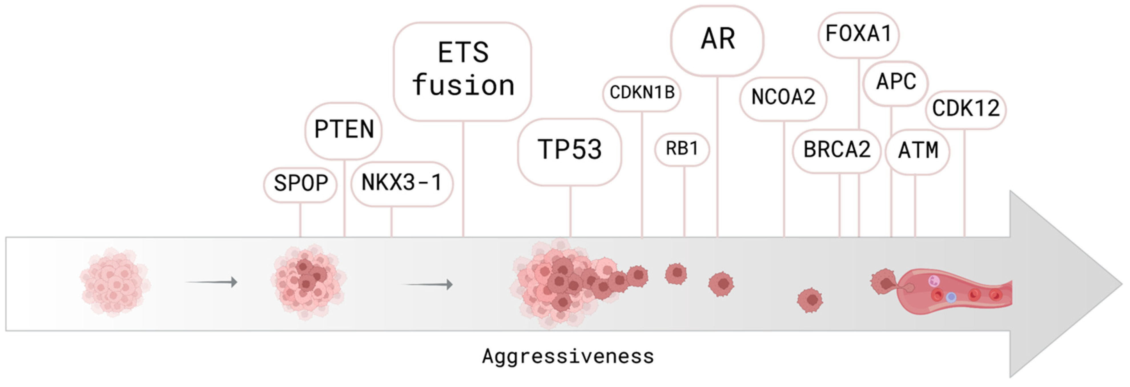 Cancers 14 06094 g001 Cancers 14 06094 g001