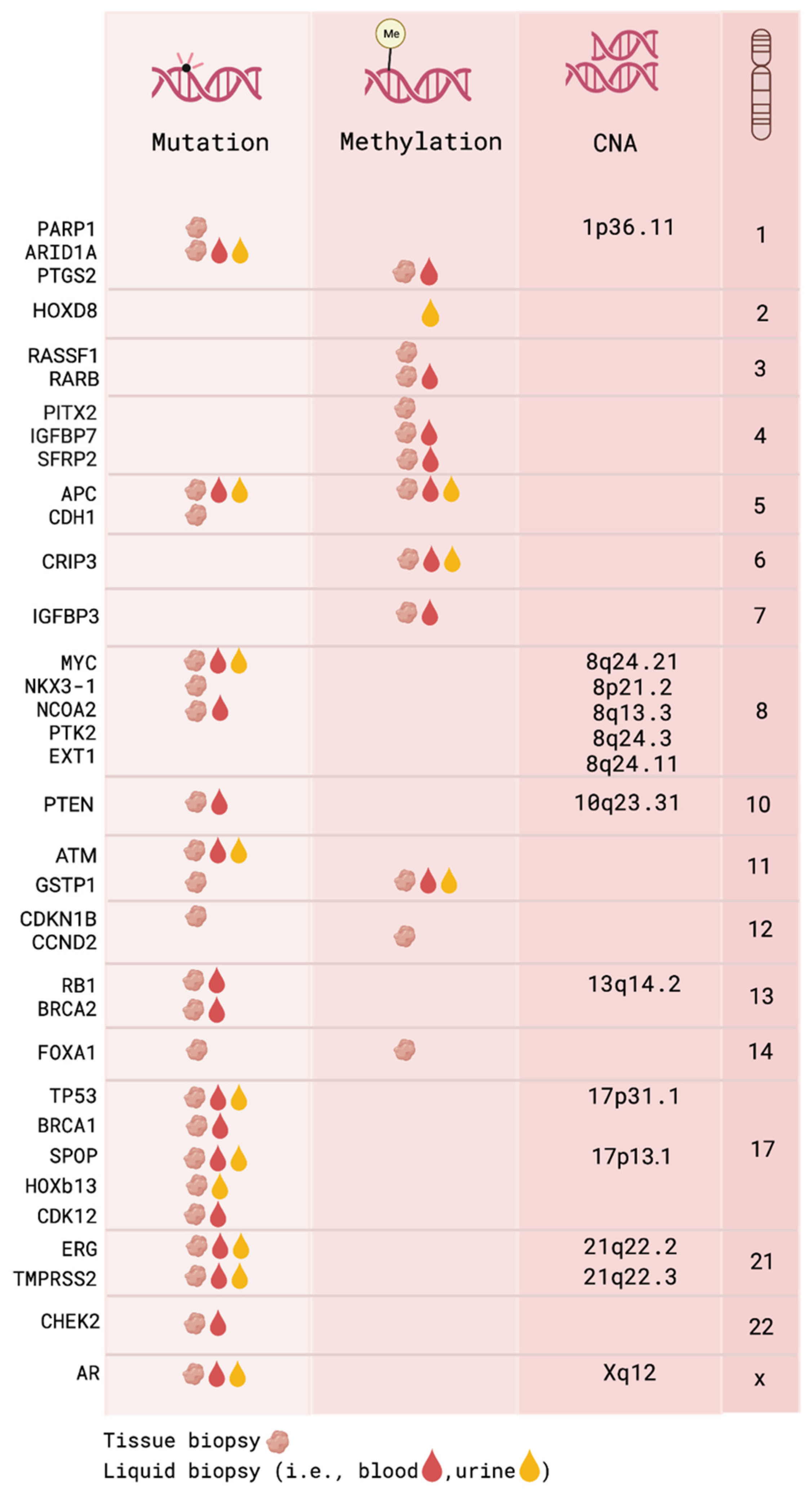 Cancers 14 06094 g002 Cancers 14 06094 g002
