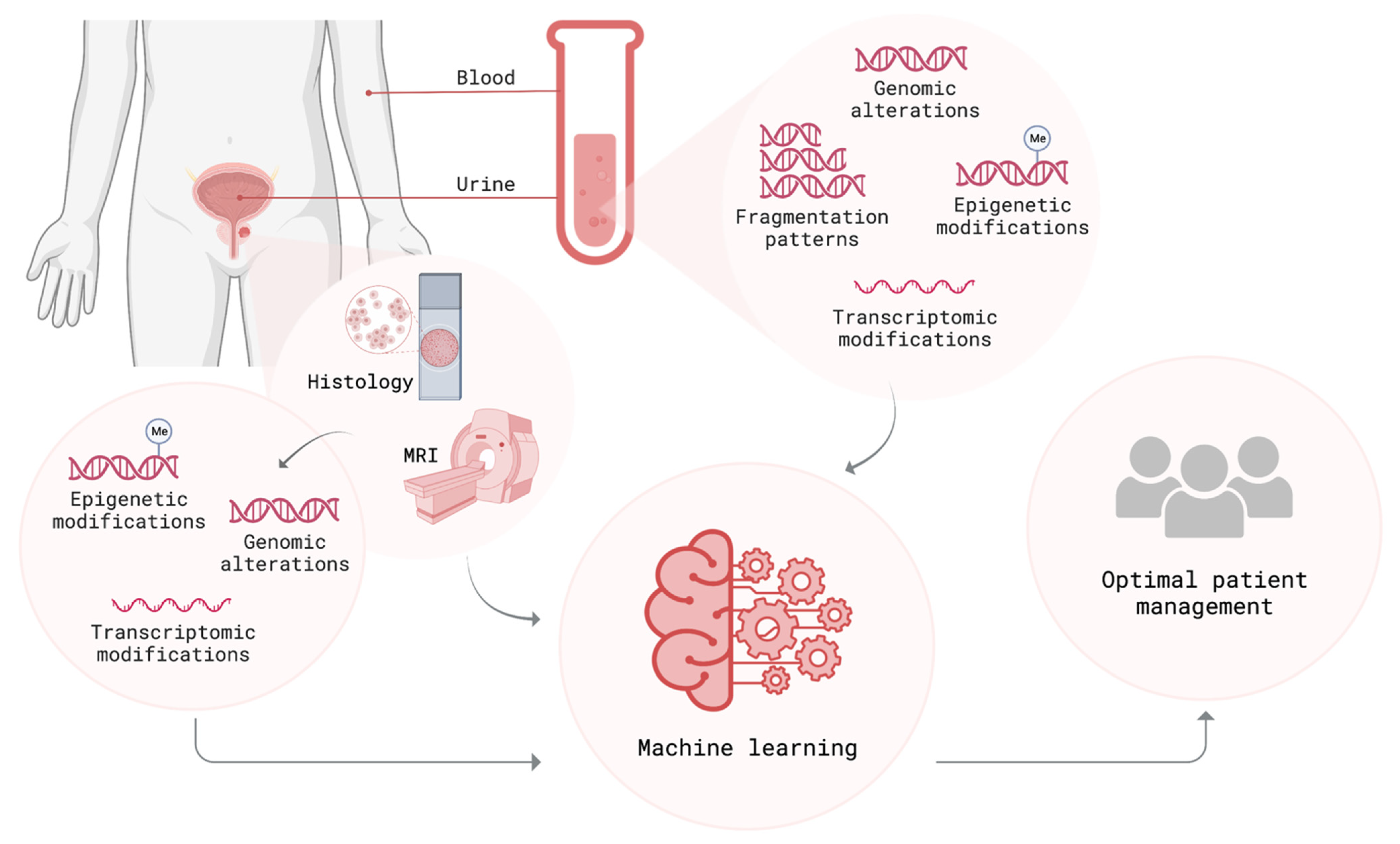 Cancers 14 06094 g003 Cancers 14 06094 g003