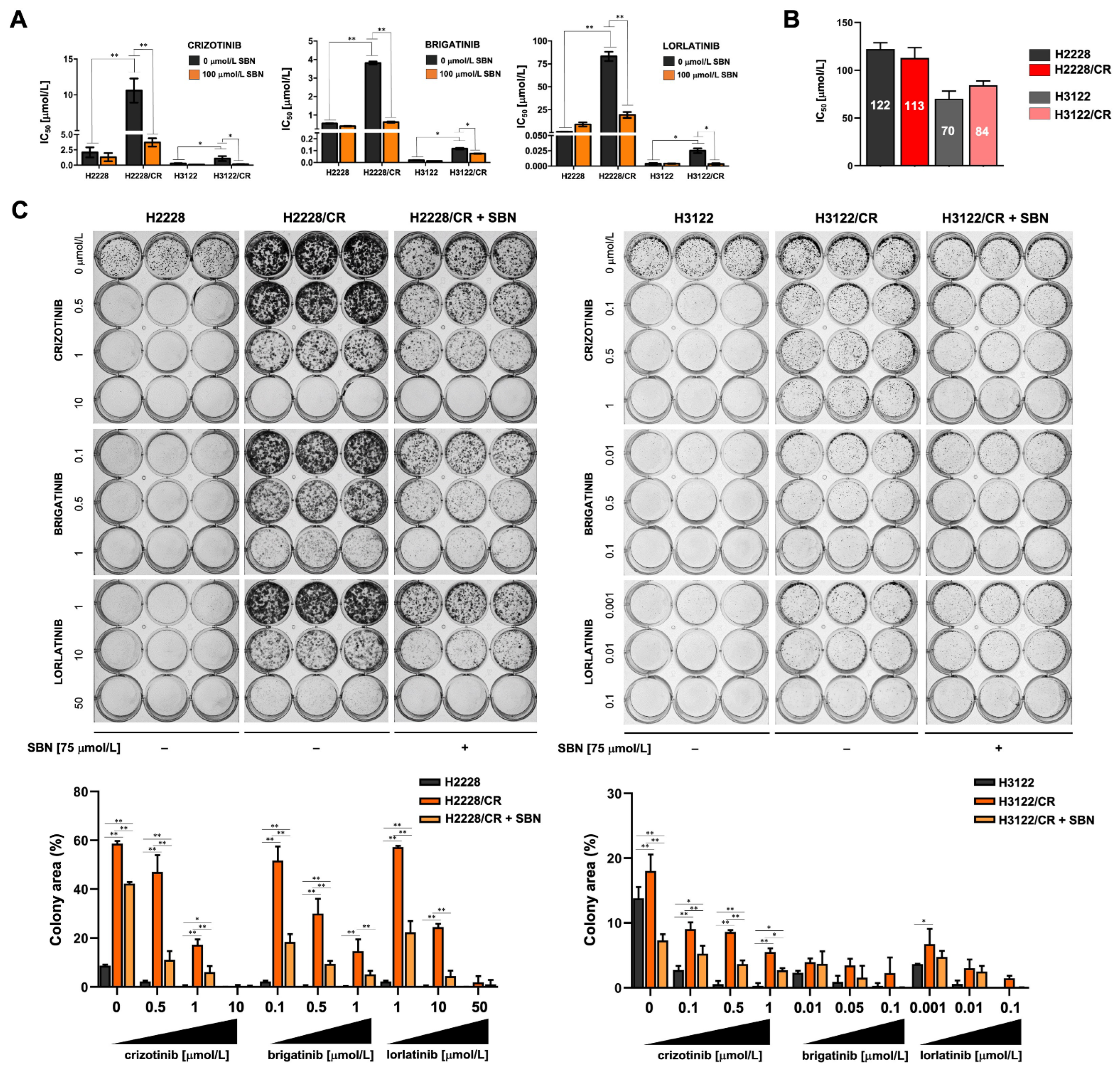 Cancers 14 06101 g002 Cancers 14 06101 g002