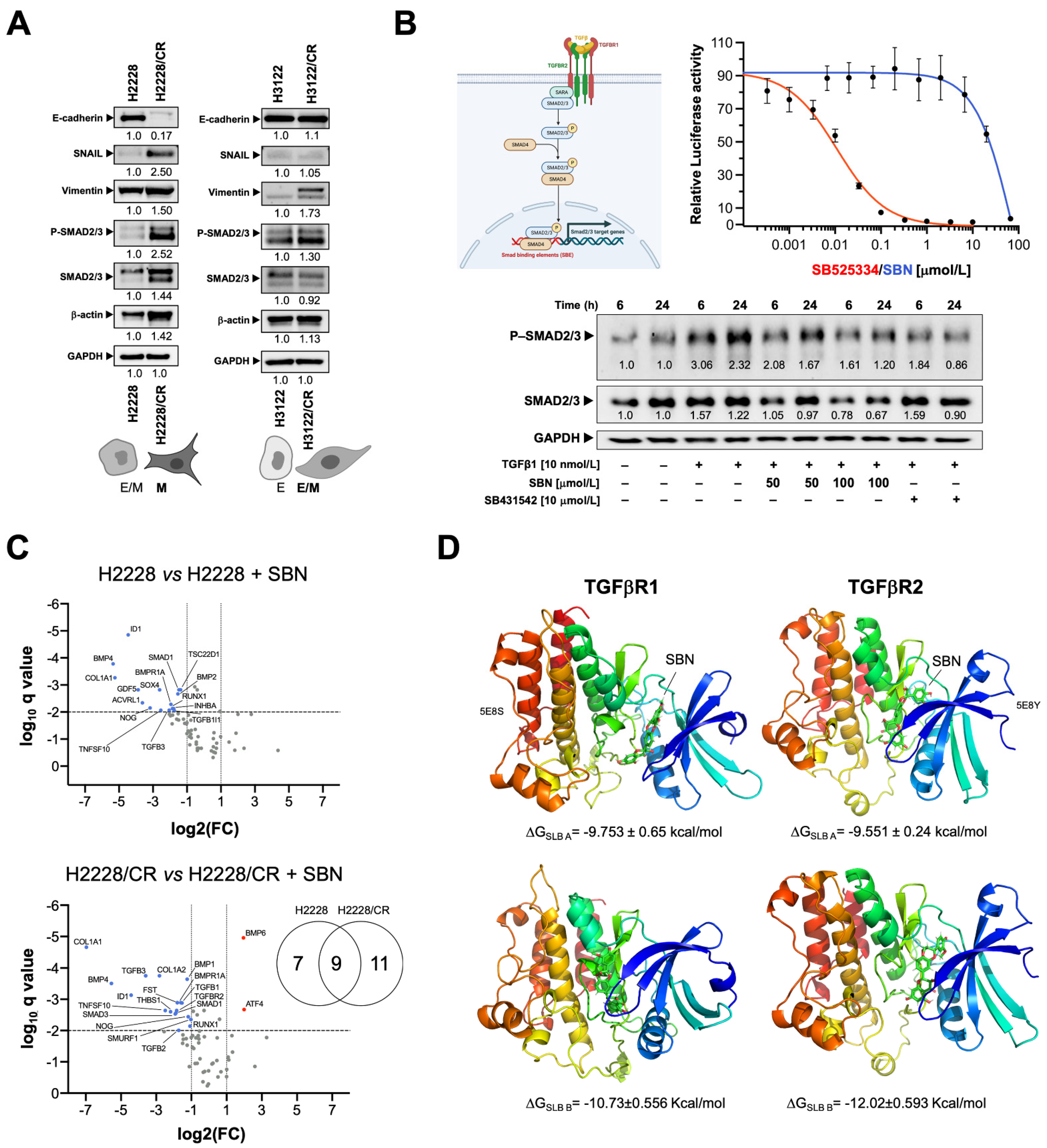 Cancers 14 06101 g003 Cancers 14 06101 g003