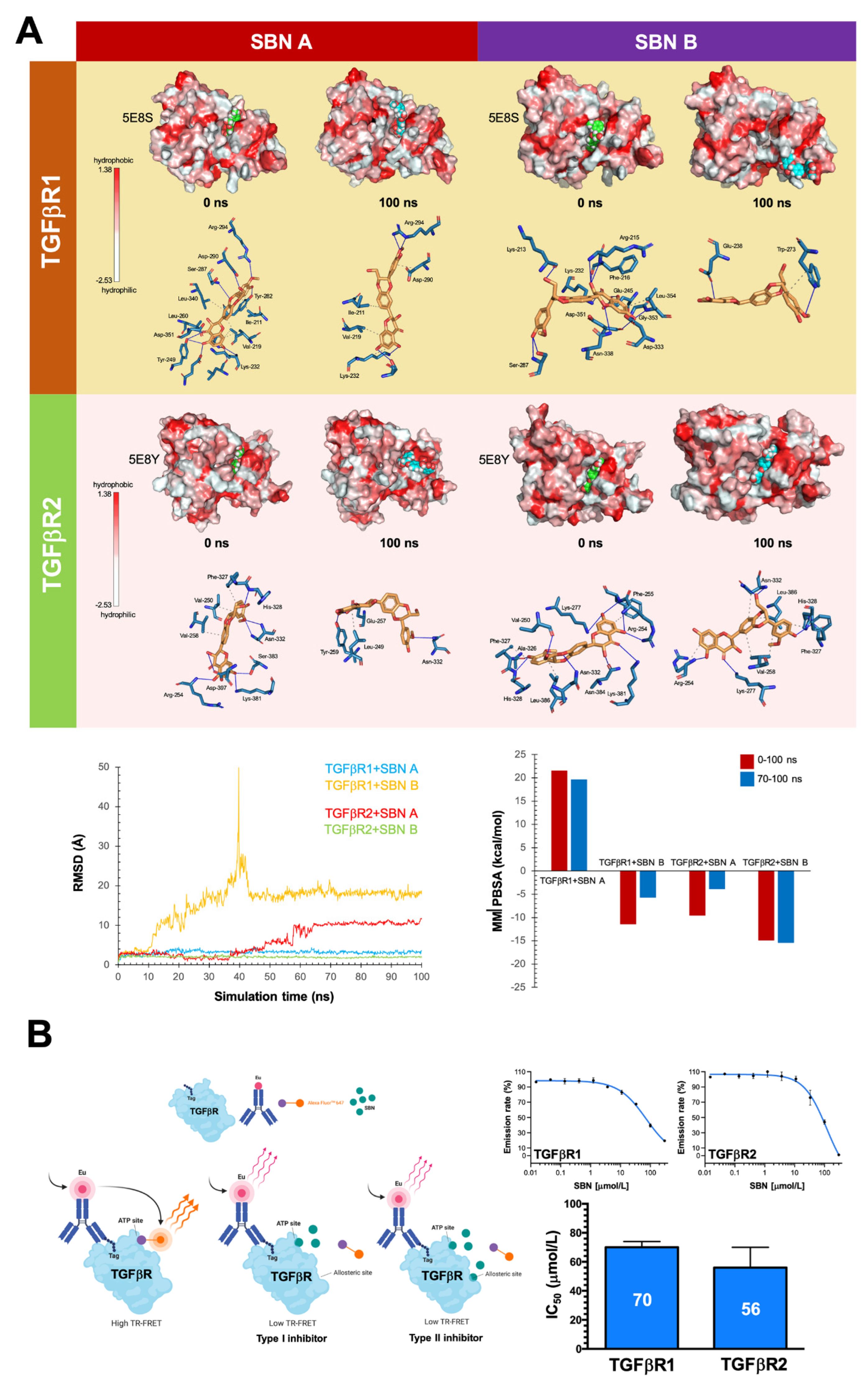 Cancers 14 06101 g004 Cancers 14 06101 g004