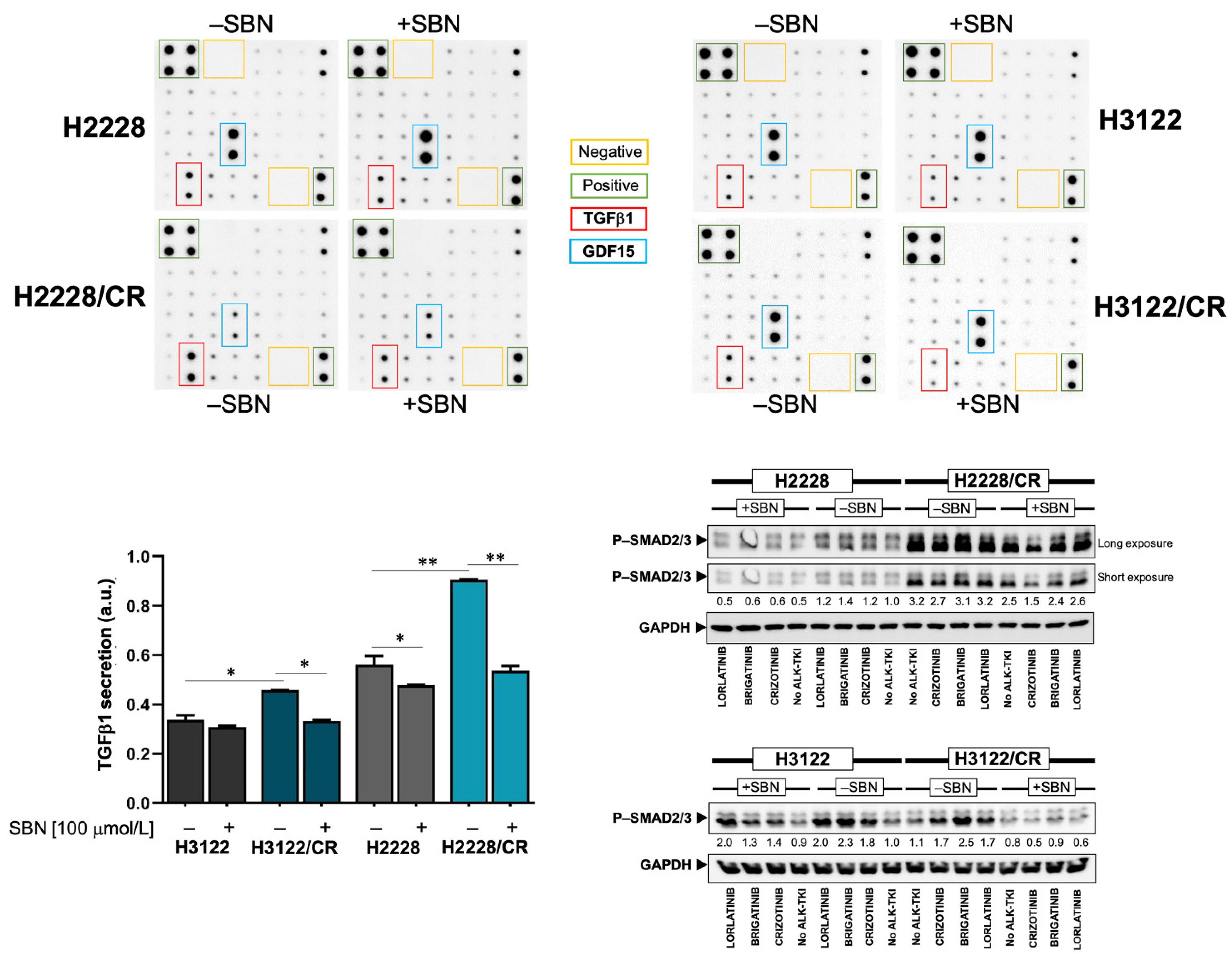 Cancers 14 06101 g005 Cancers 14 06101 g005