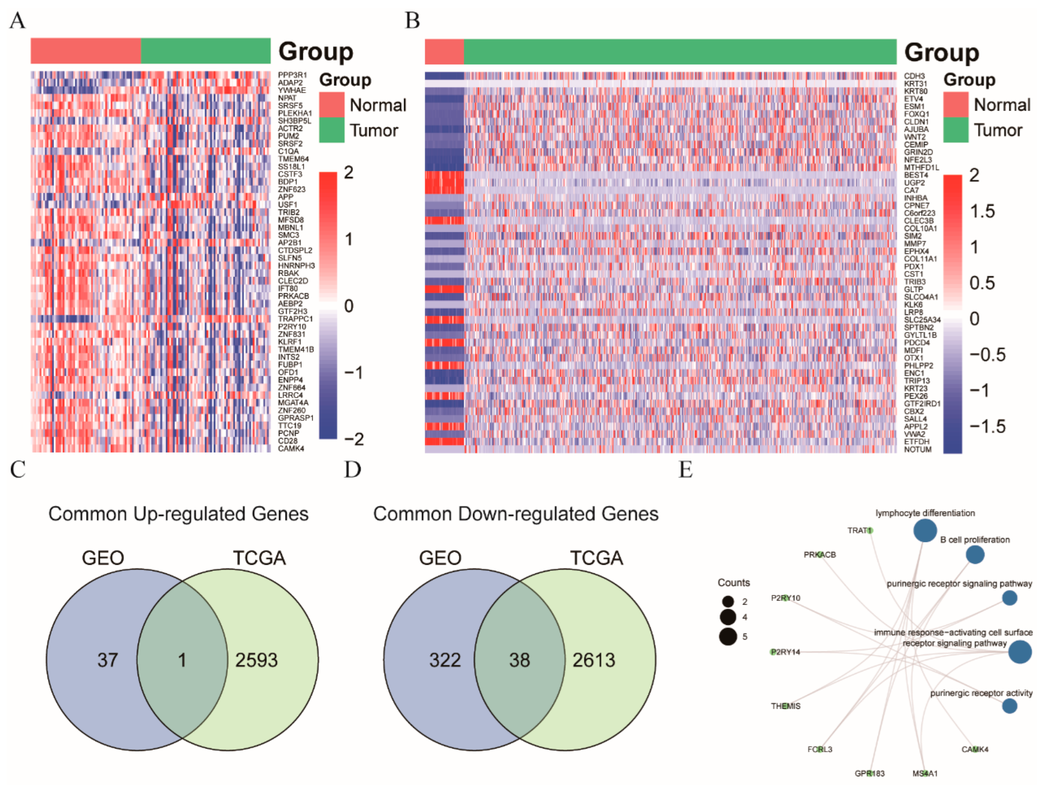Cancers 14 06105 g004 Cancers 14 06105 g004