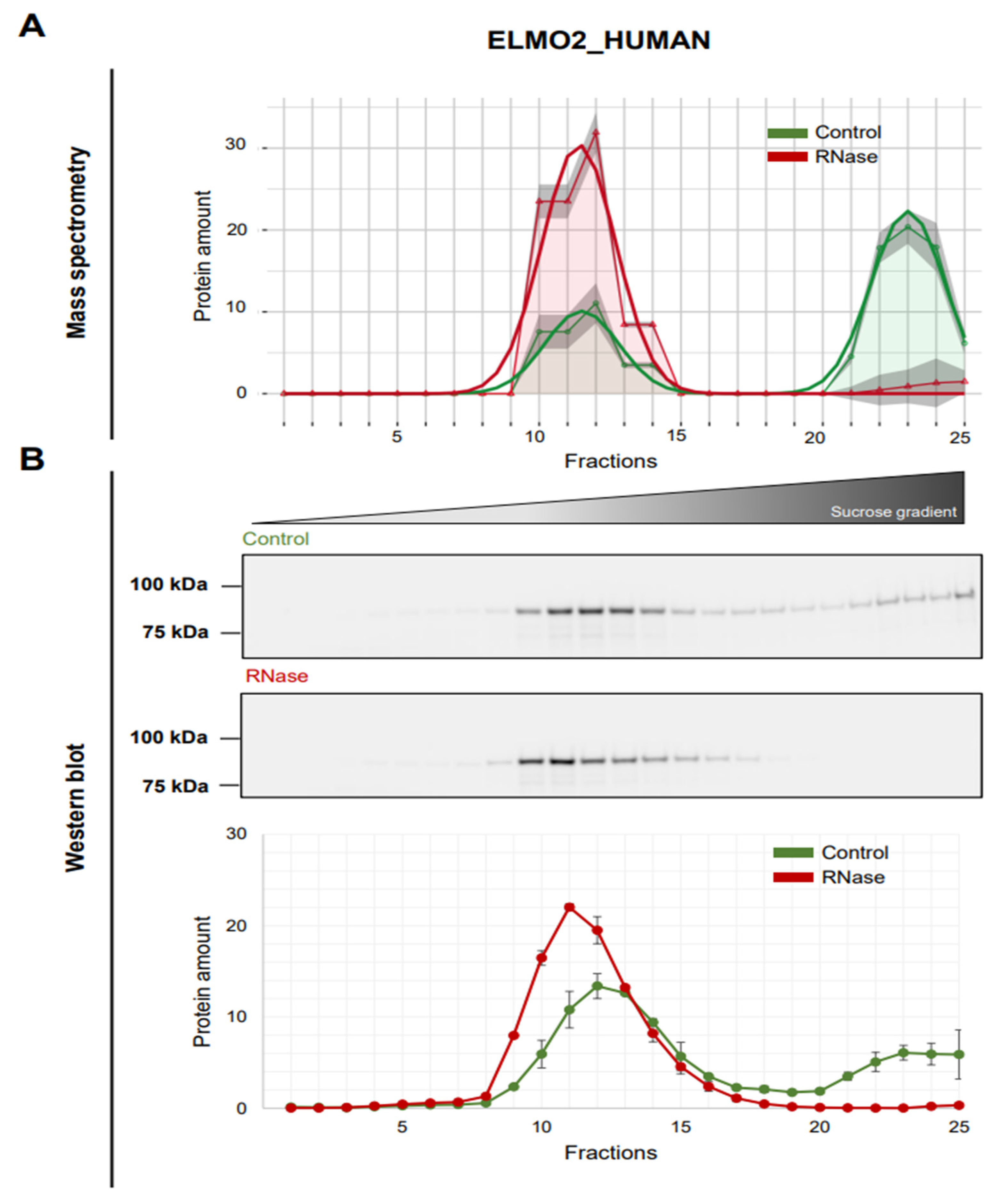 Cancers 14 06109 g005 Cancers 14 06109 g005