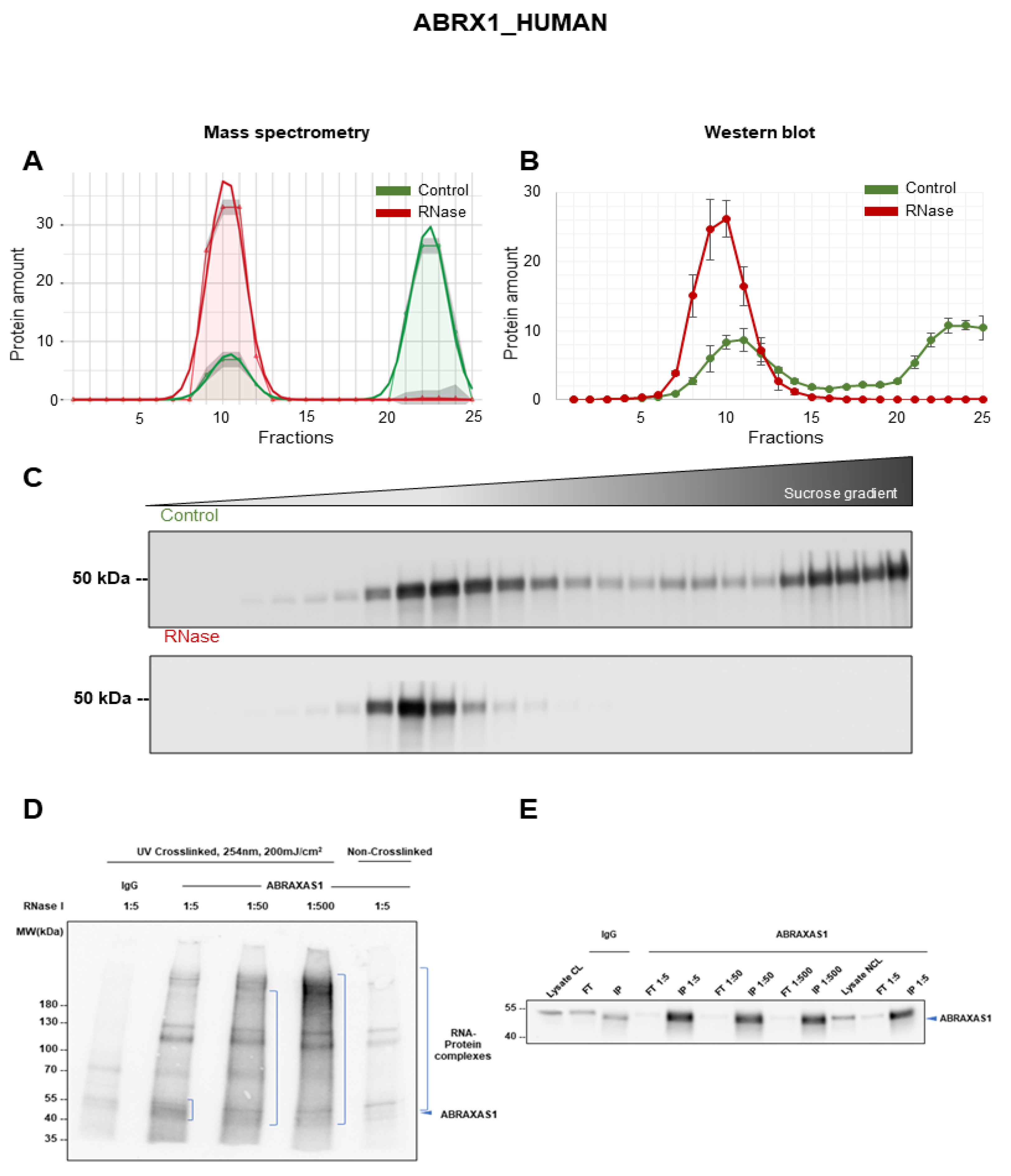 Cancers 14 06109 g006 Cancers 14 06109 g006