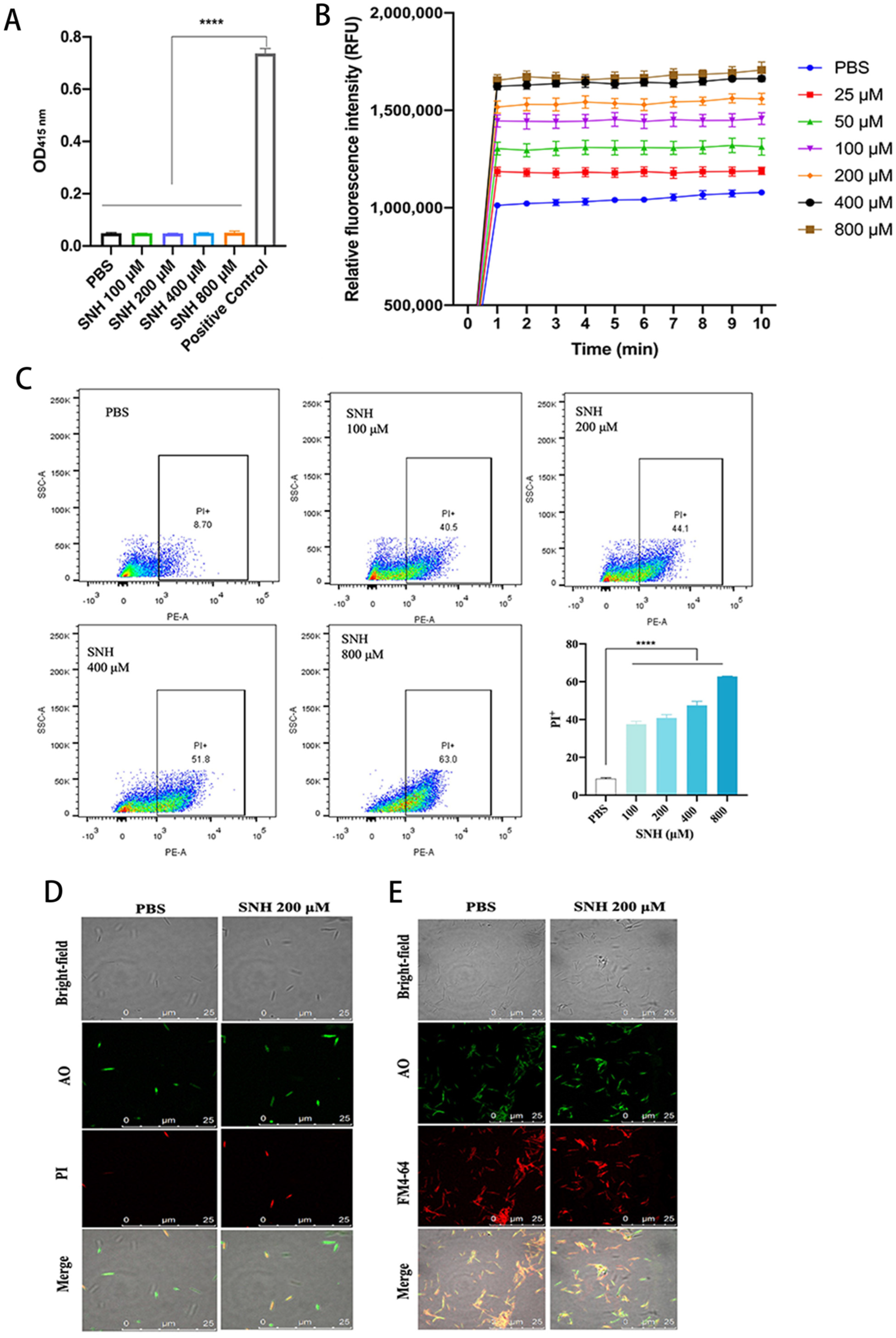 Cancers 14 06111 g001 Cancers 14 06111 g001