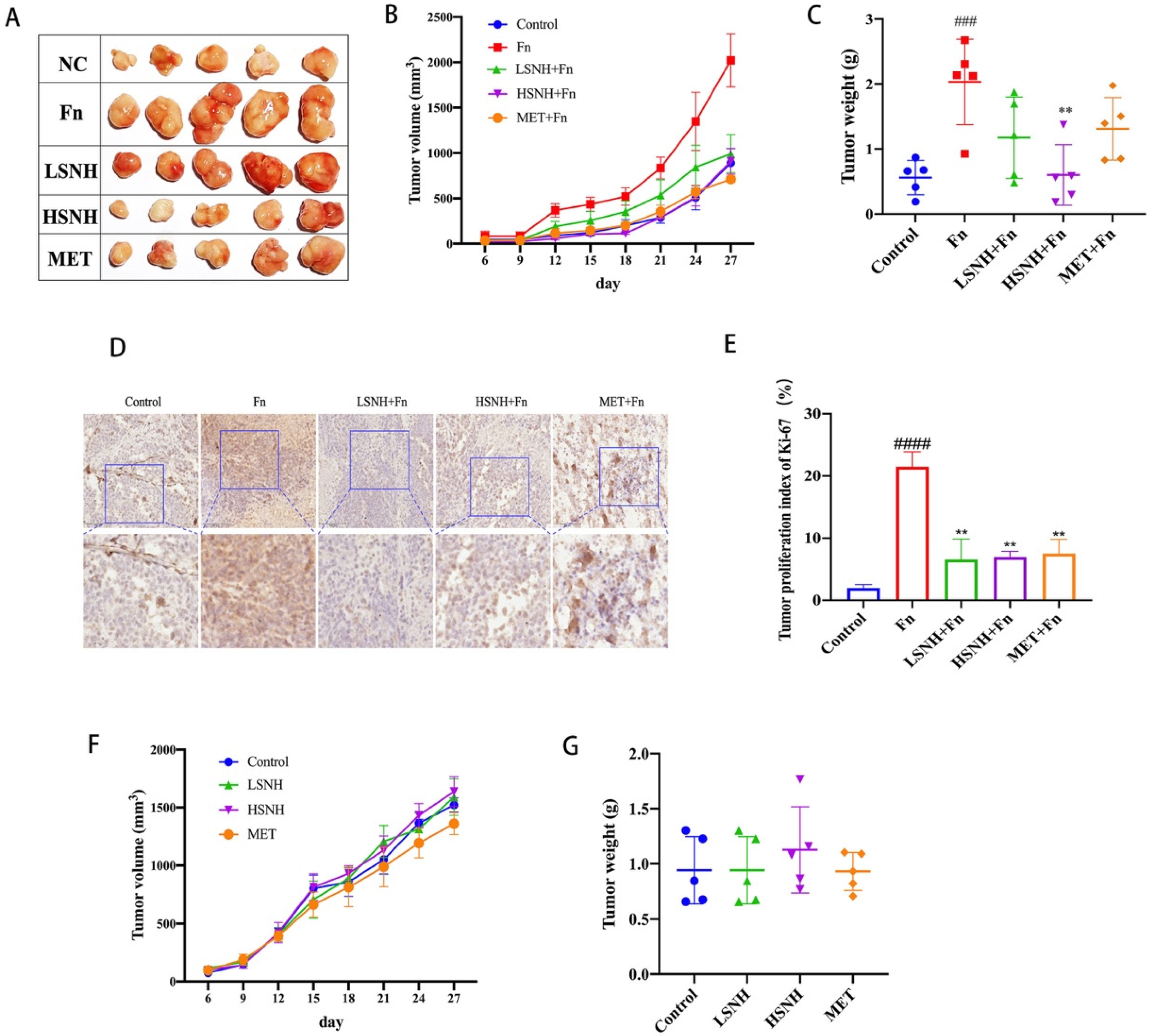 Cancers 14 06111 g005 Cancers 14 06111 g005