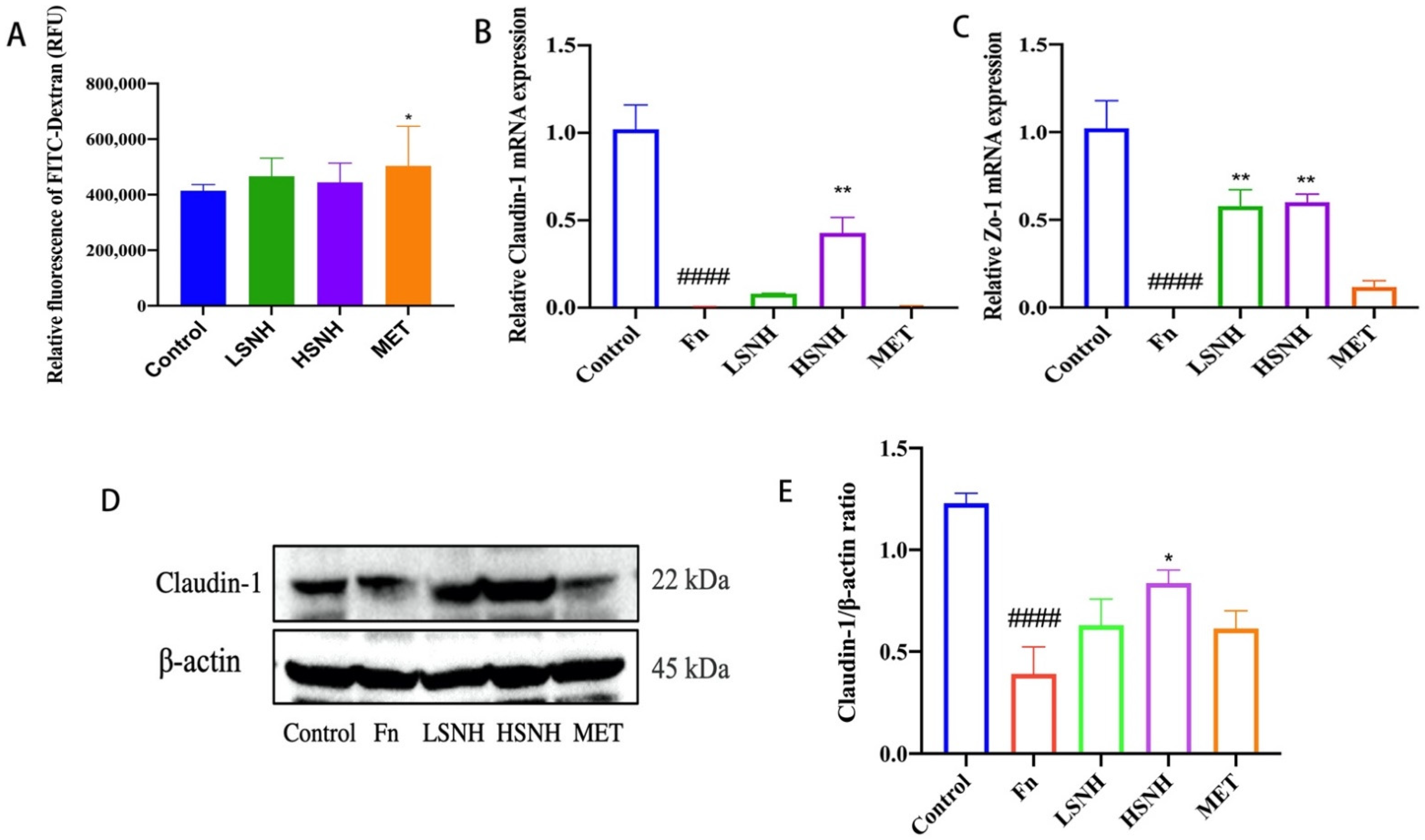 Cancers 14 06111 g007 Cancers 14 06111 g007