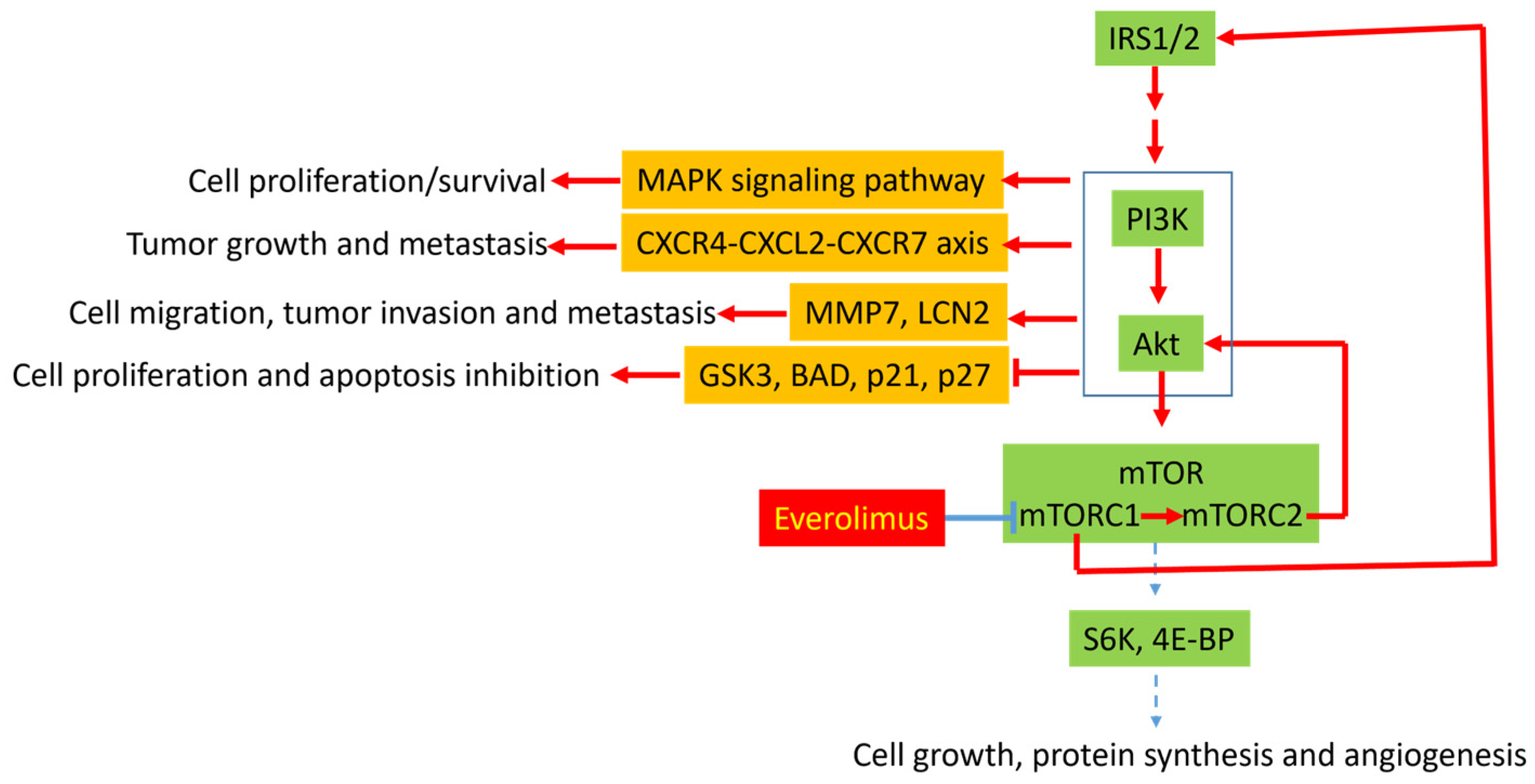 Cancers 14 06114 g001