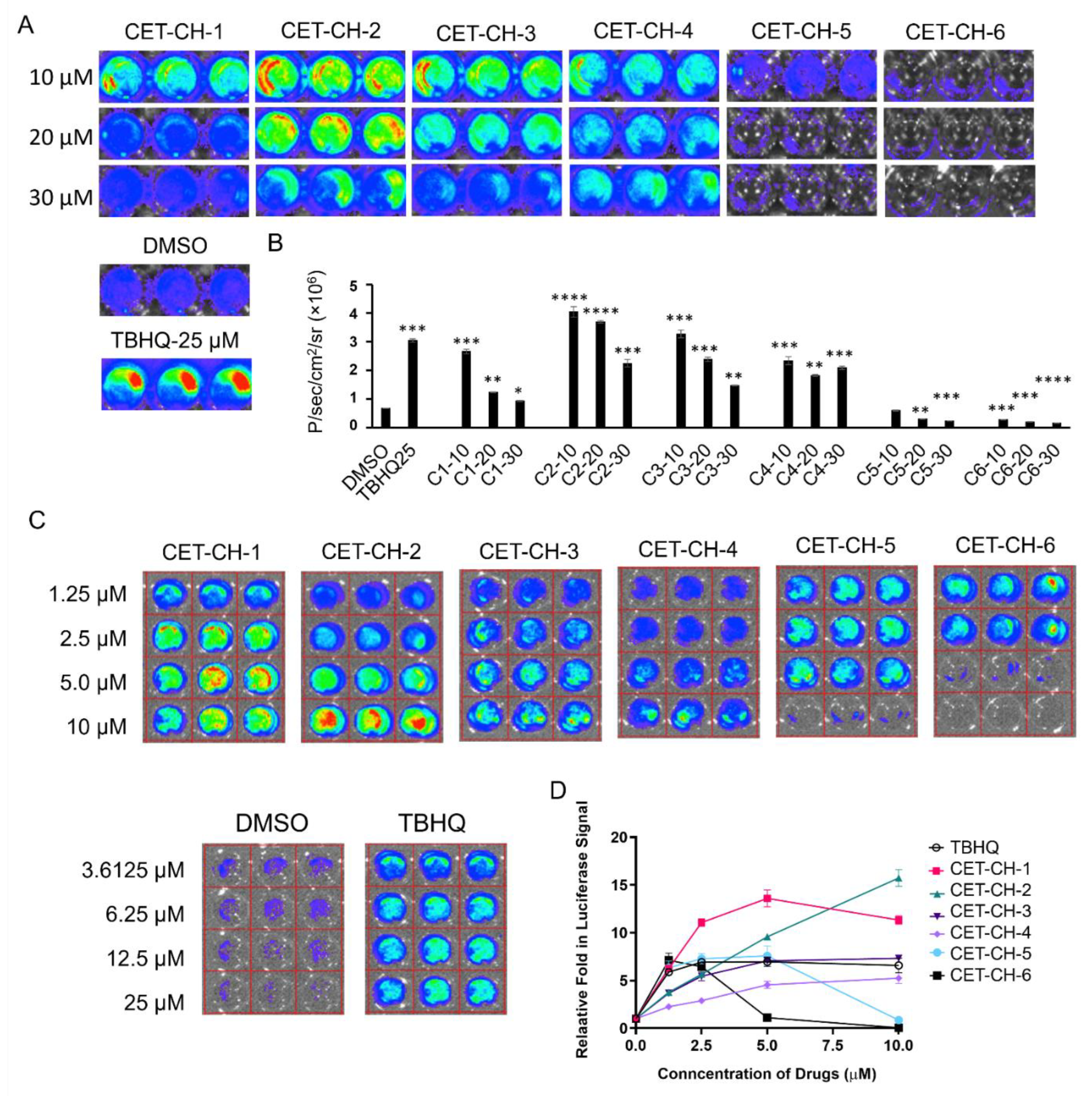 Cancers 14 06120 g002