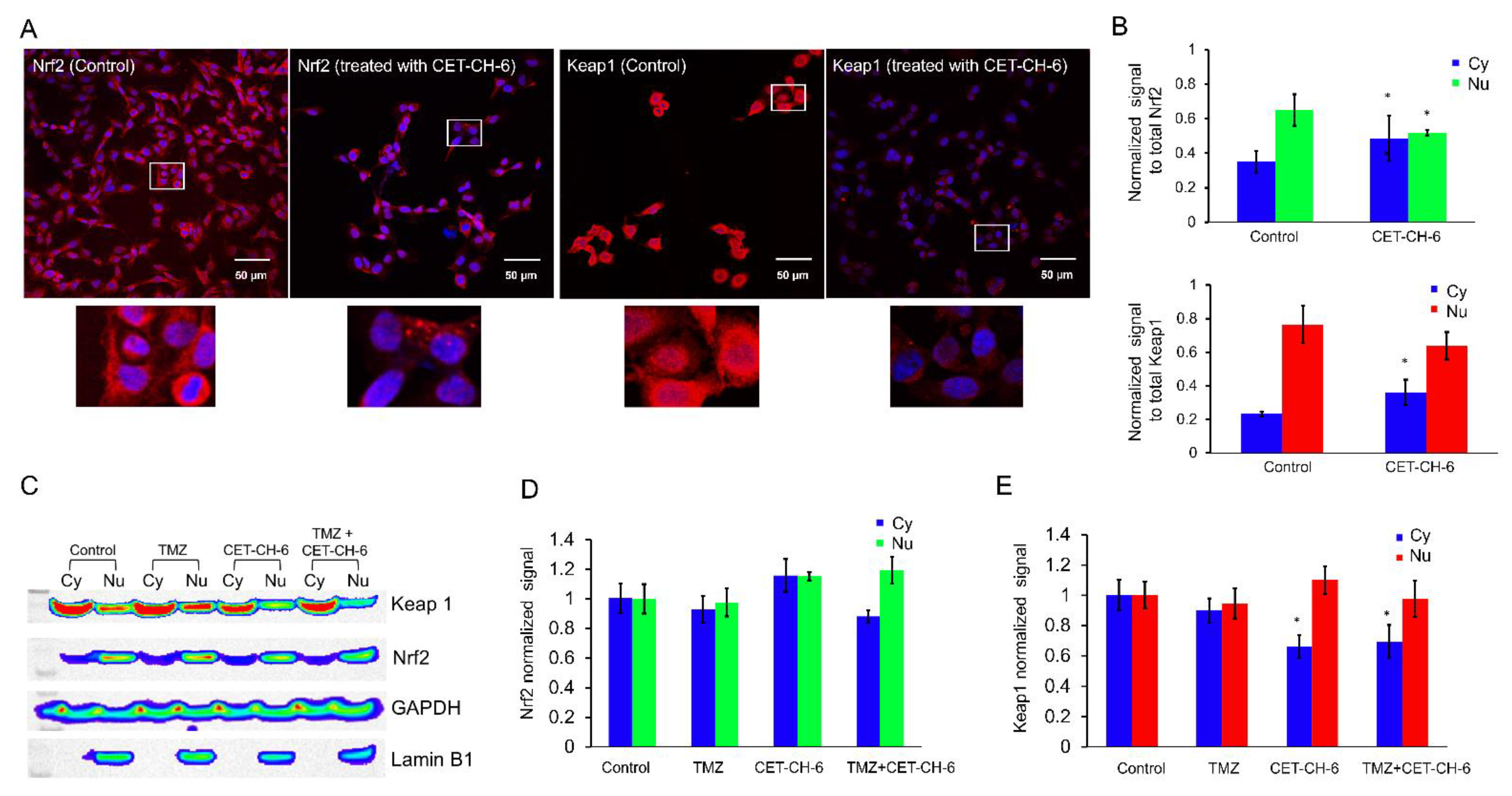 Cancers 14 06120 g003