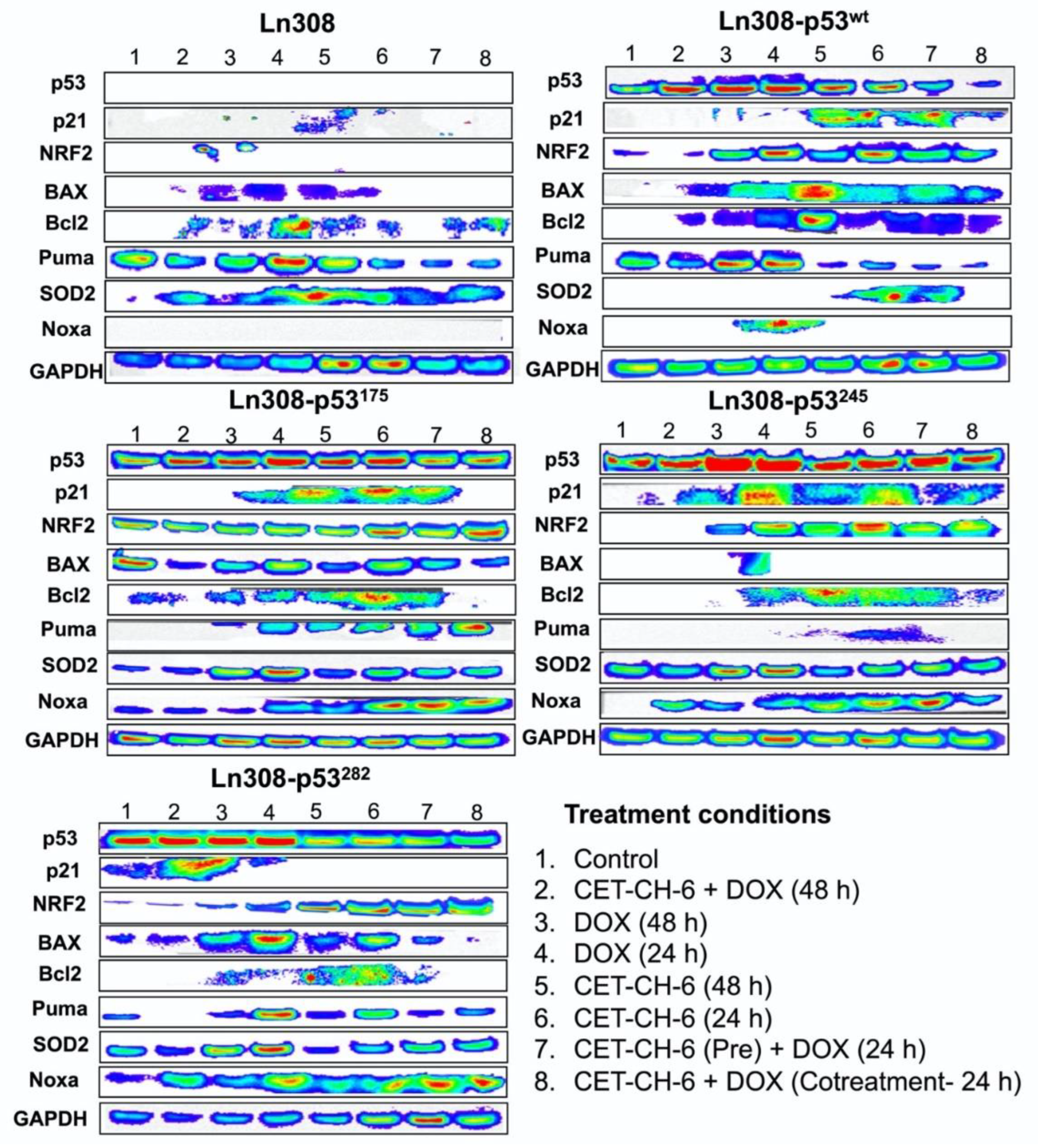 Cancers 14 06120 g007