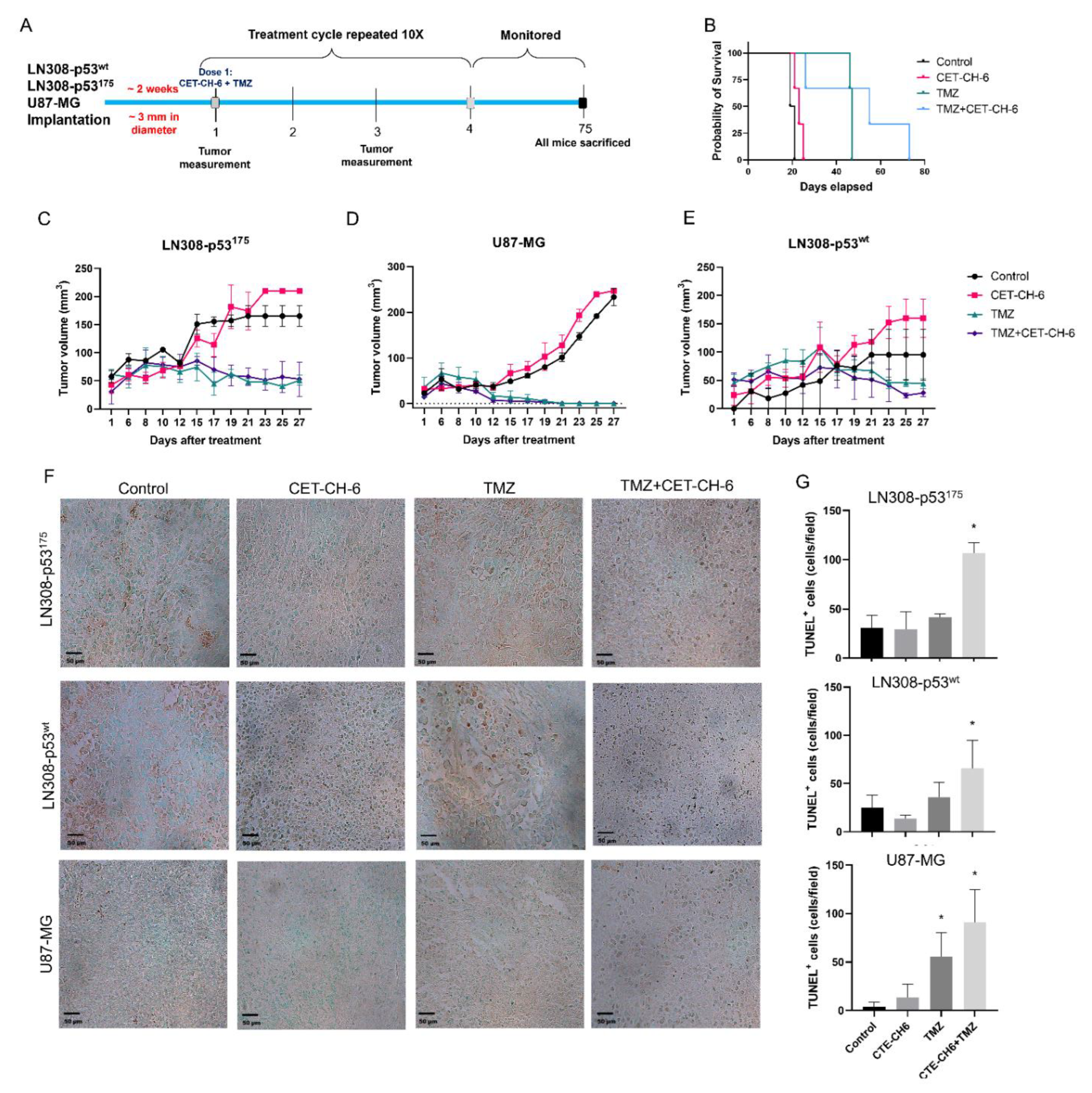 Cancers 14 06120 g008